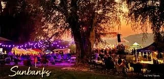 Nick Vigarino's Meantown Blues at Sunbanks Music Festival - May 16th -