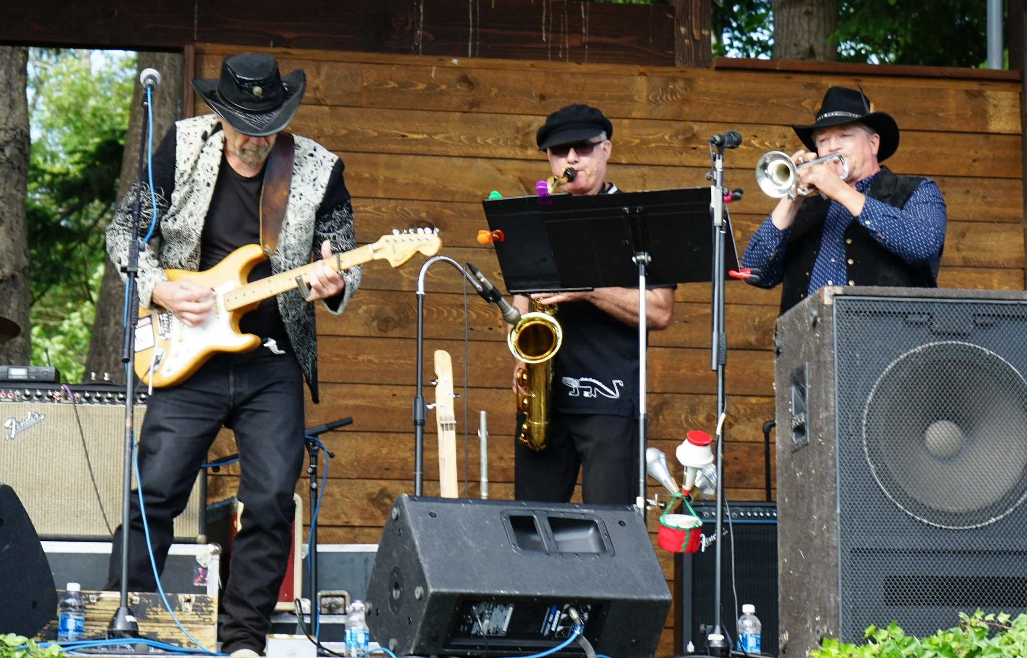 Poulsbo Blues &amp; Jazz Festival  '26