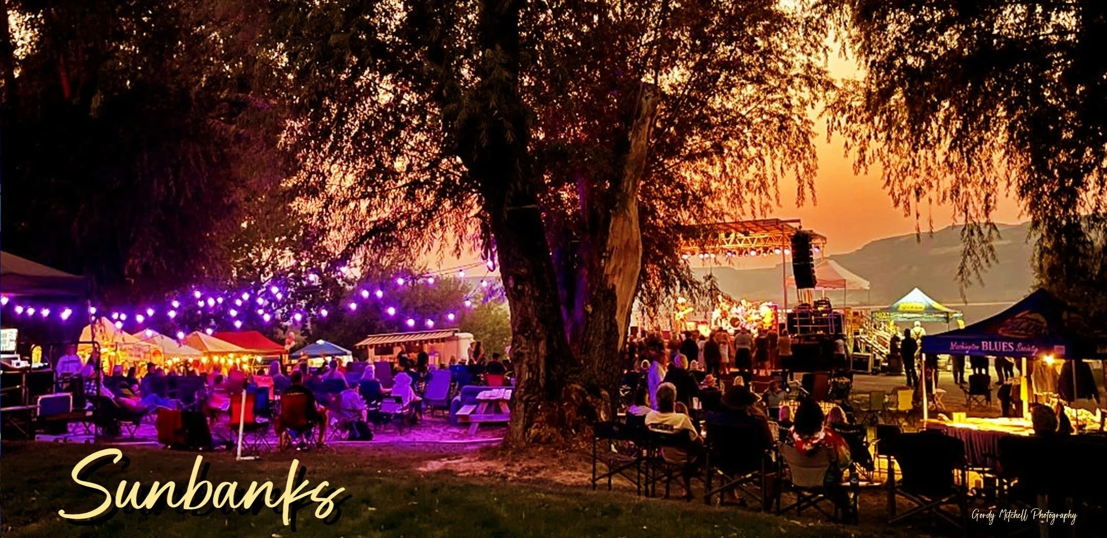 Nick Vigarino's Meantown Blues at Sunbanks Music Festival - May 16th !