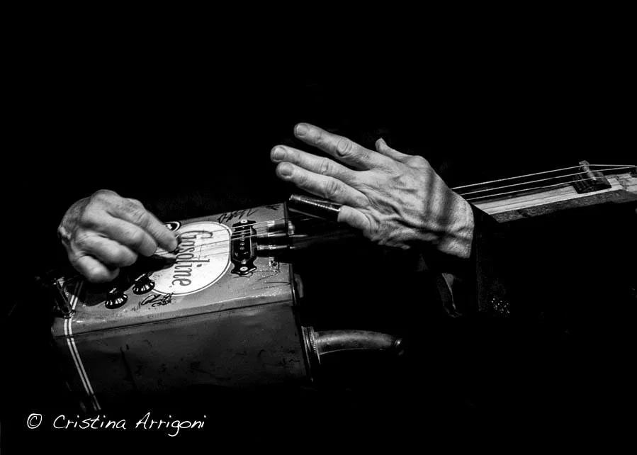Nick Vigarino at The Meyer Arts Festival - Stanwood - Aug. 29th - 4:30 pm!