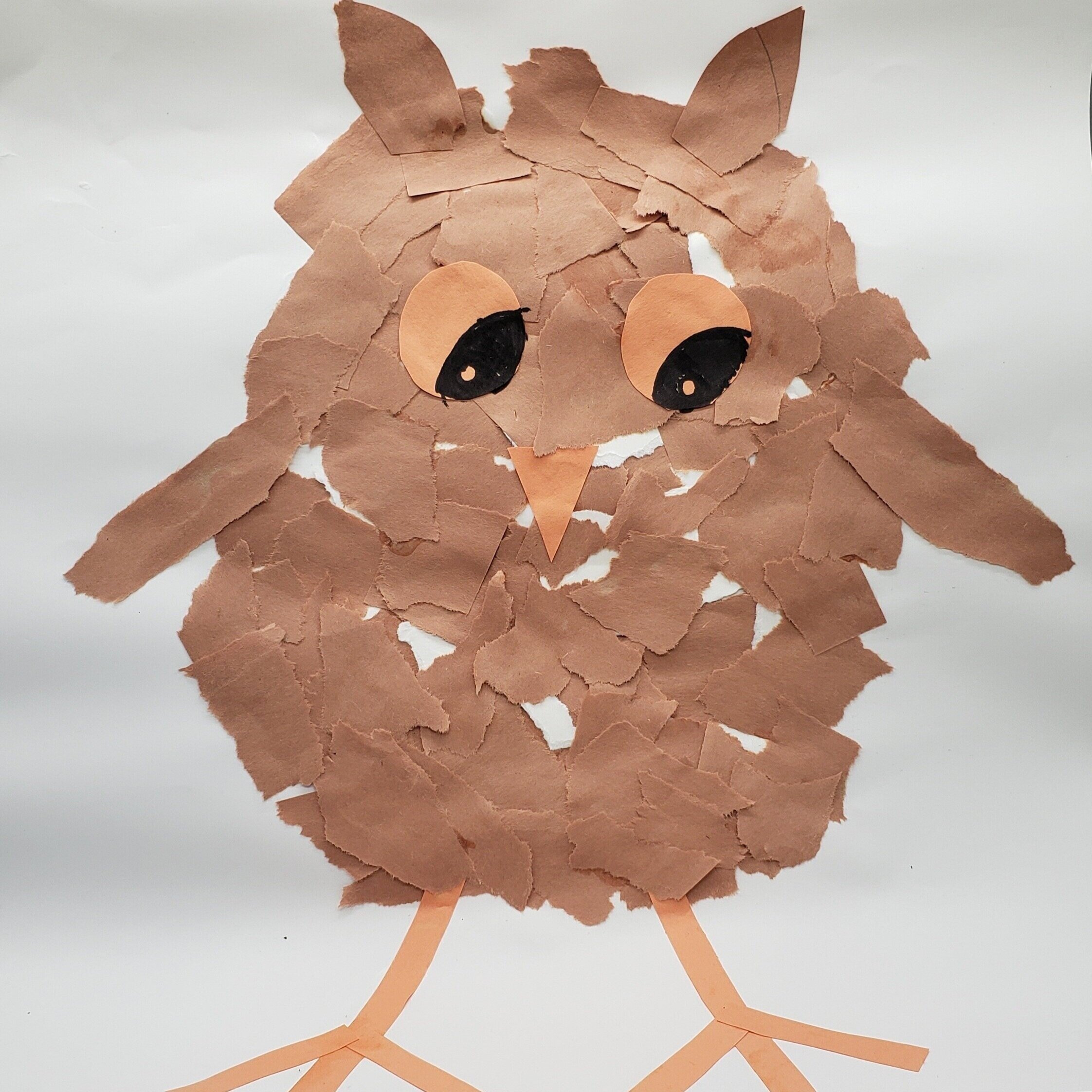 Adorable Paper Owls