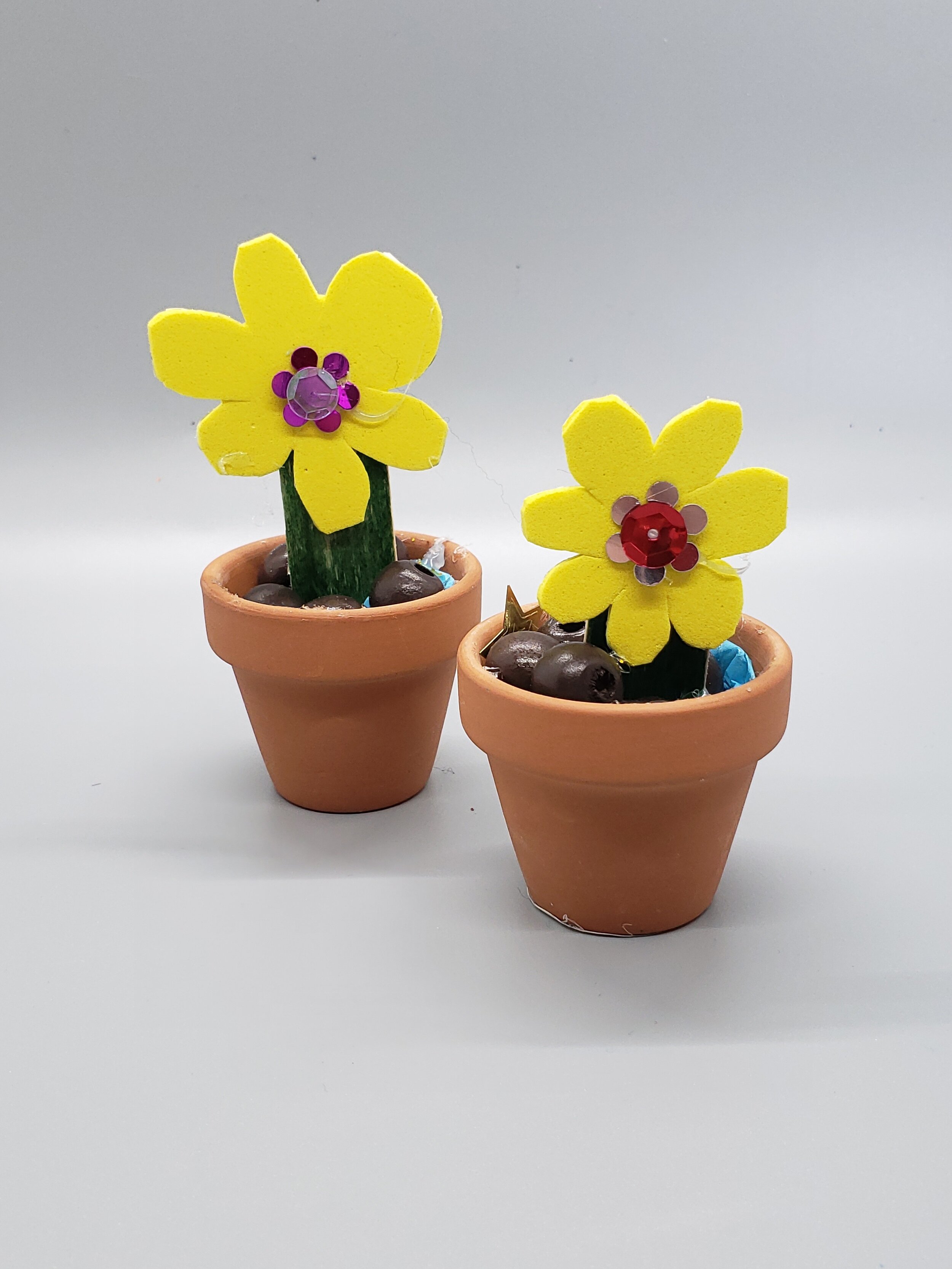 Popsicle Stick Flower Pots