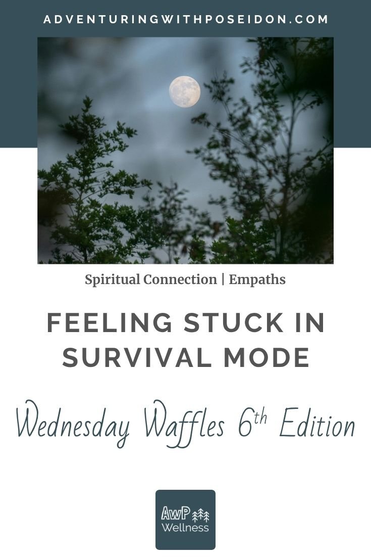 Feeling Stuck in Survival Mode | Wednesday Waffles 6th Edition