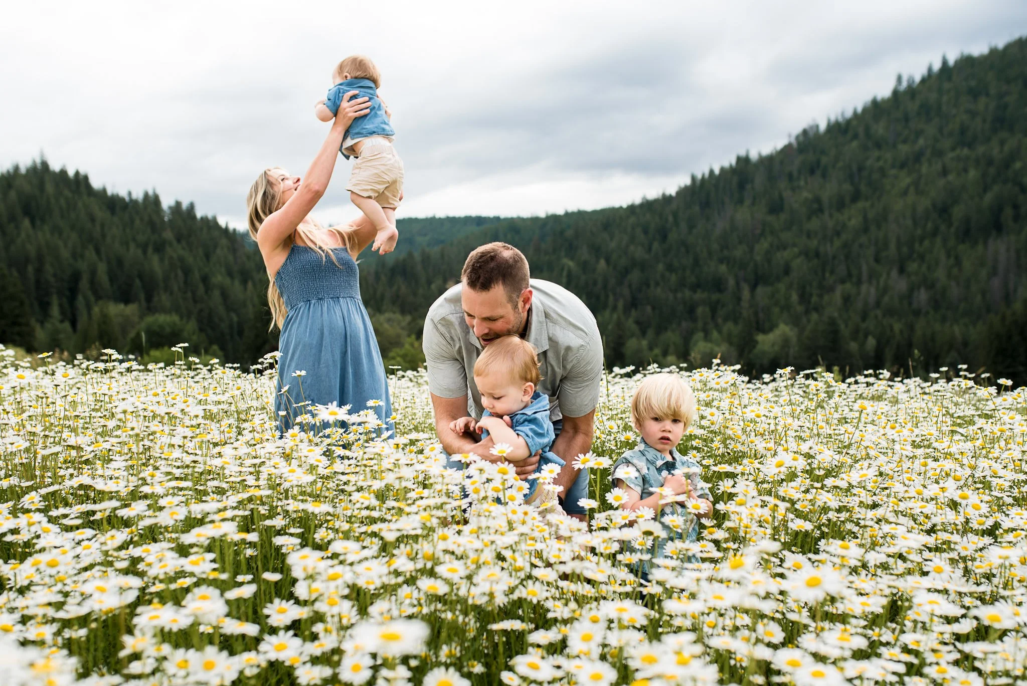daisy field  (5 of 7).jpg