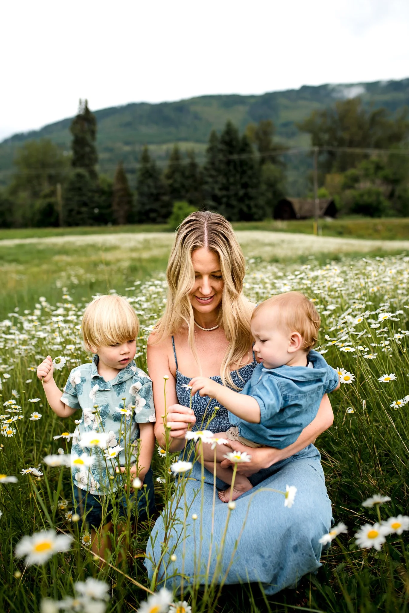 daisy field  (1 of 7).jpg