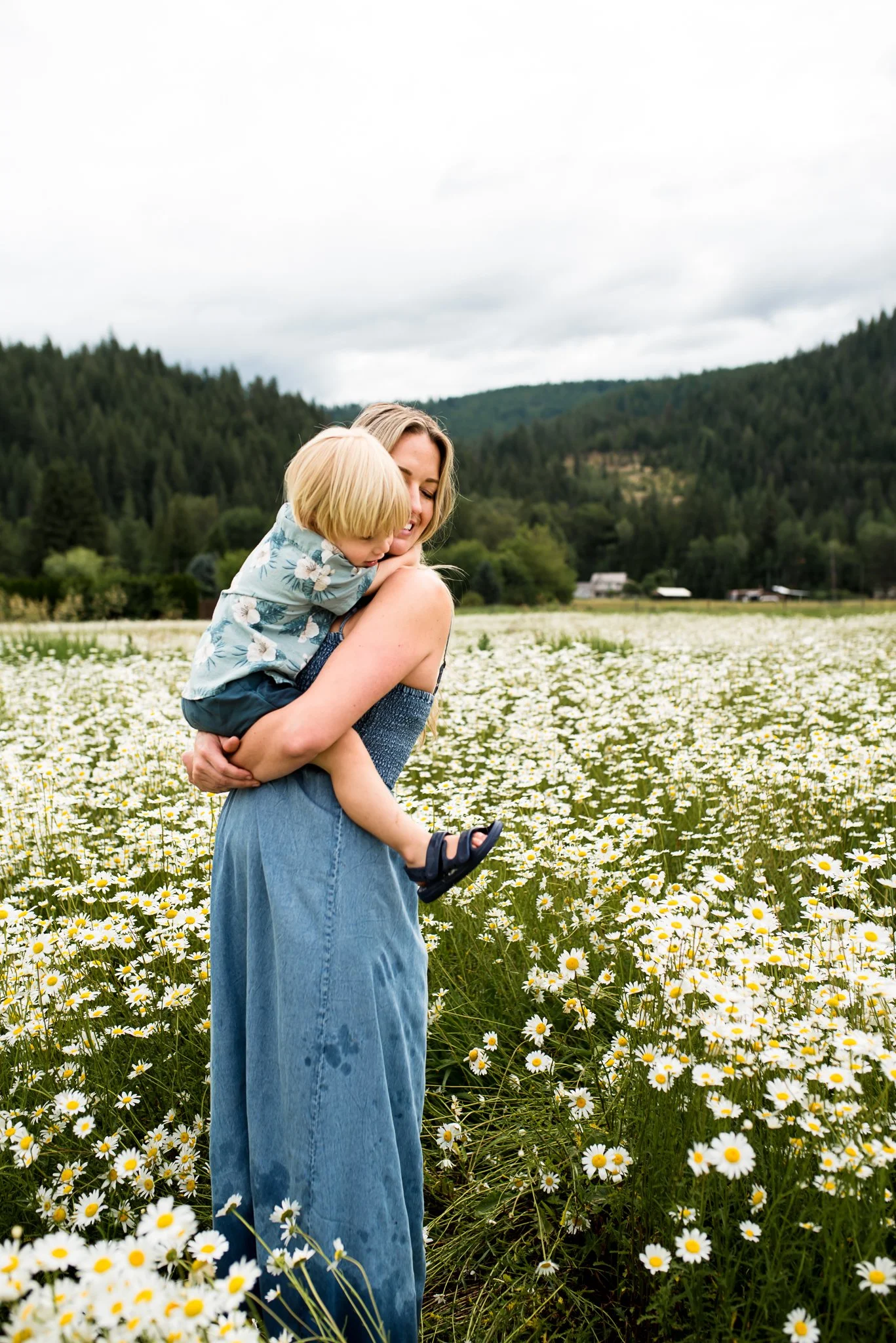 daisy field (1 of 1).jpg