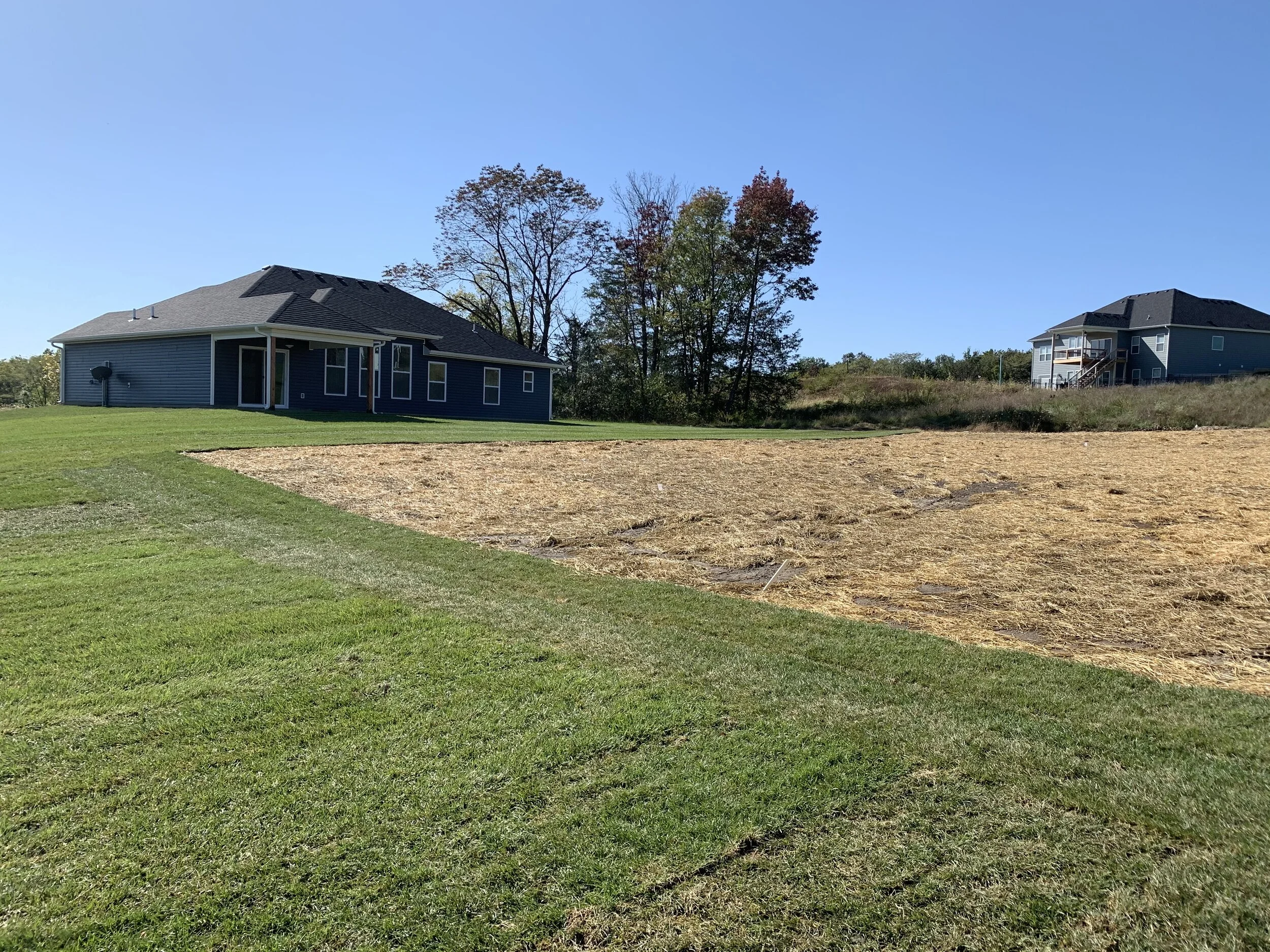 back yard 4.JPG