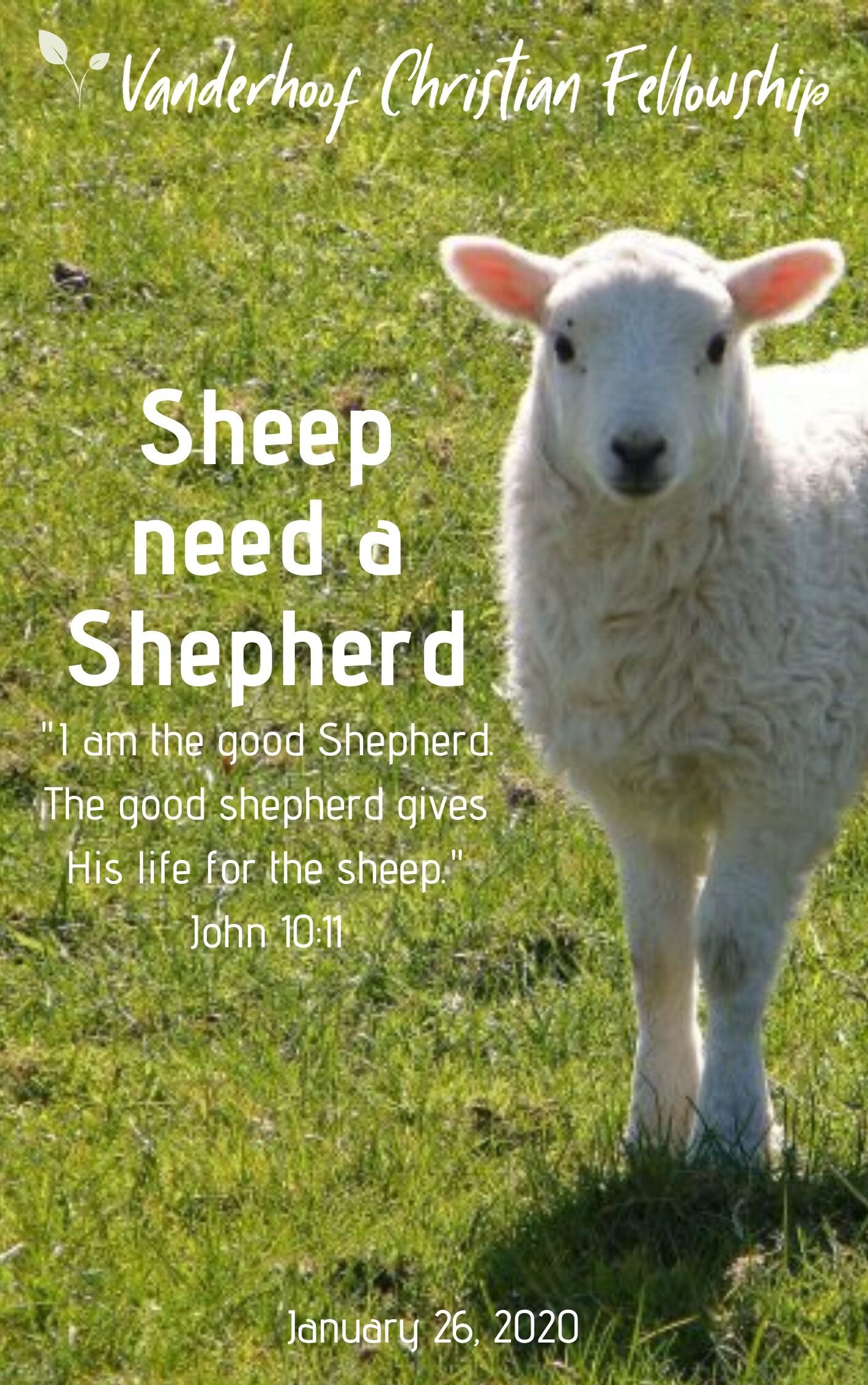 Sheep Need A Shepherd 