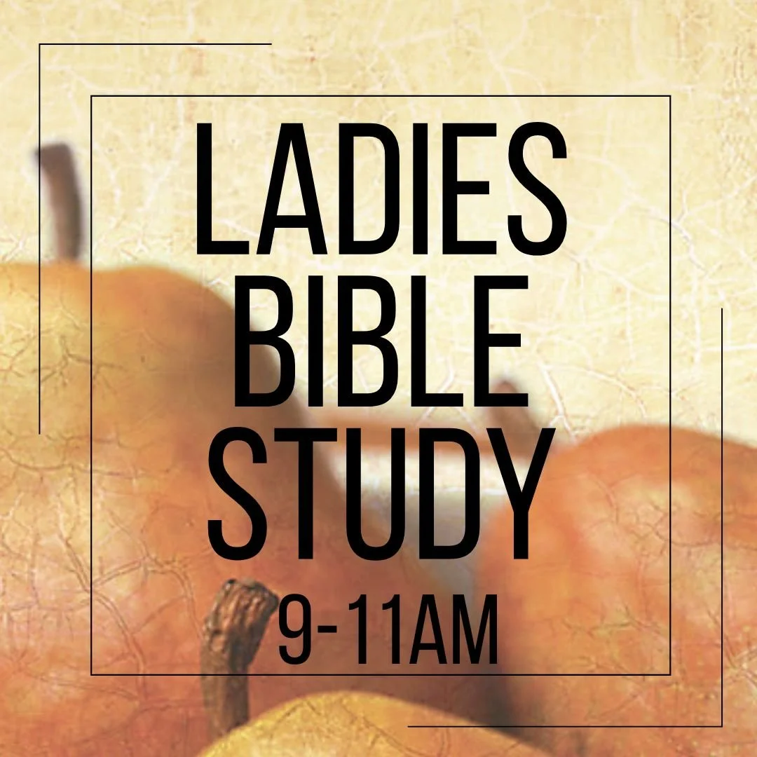 Ladies Bible Study 