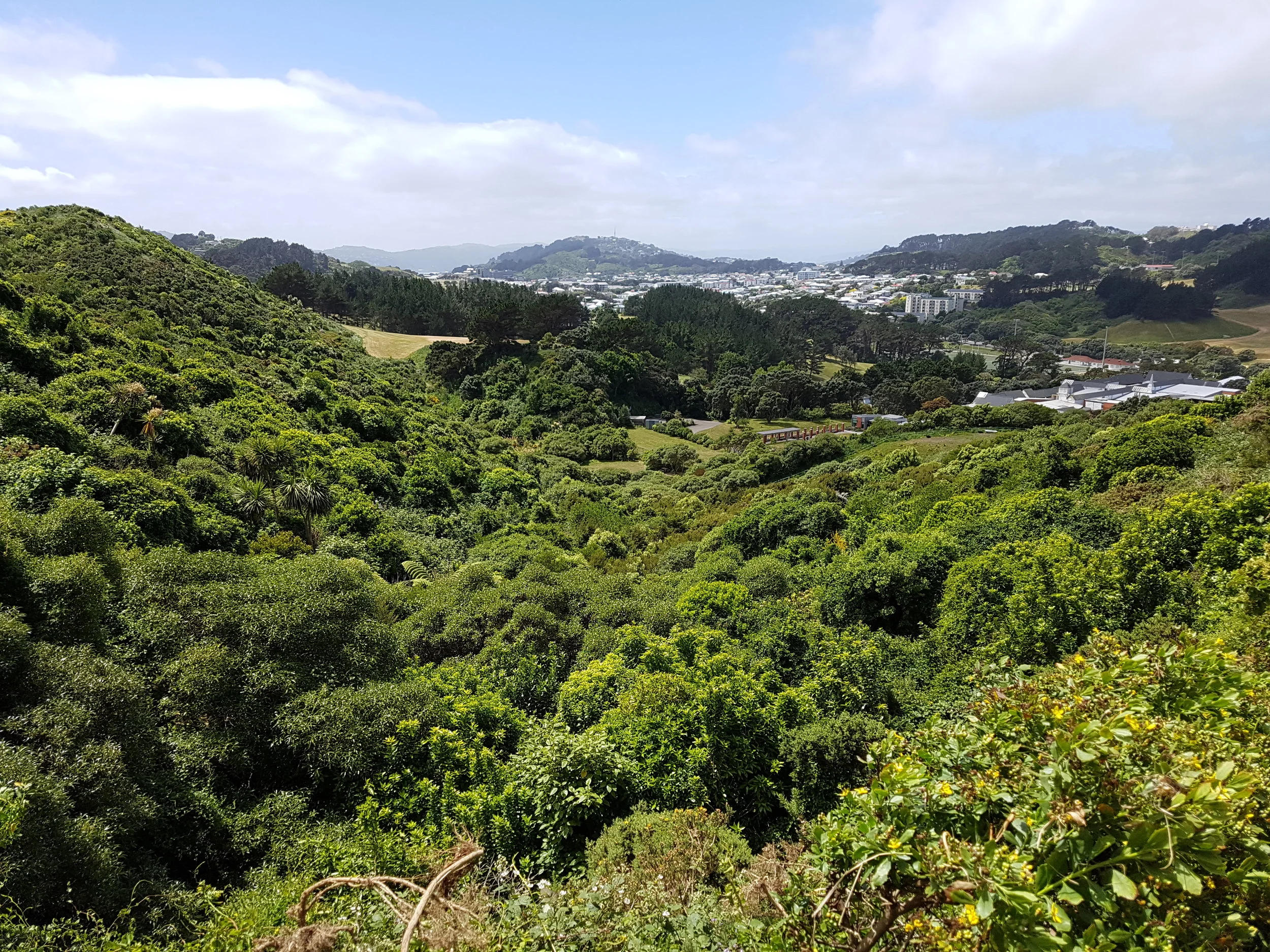 20171119_135158.jpg