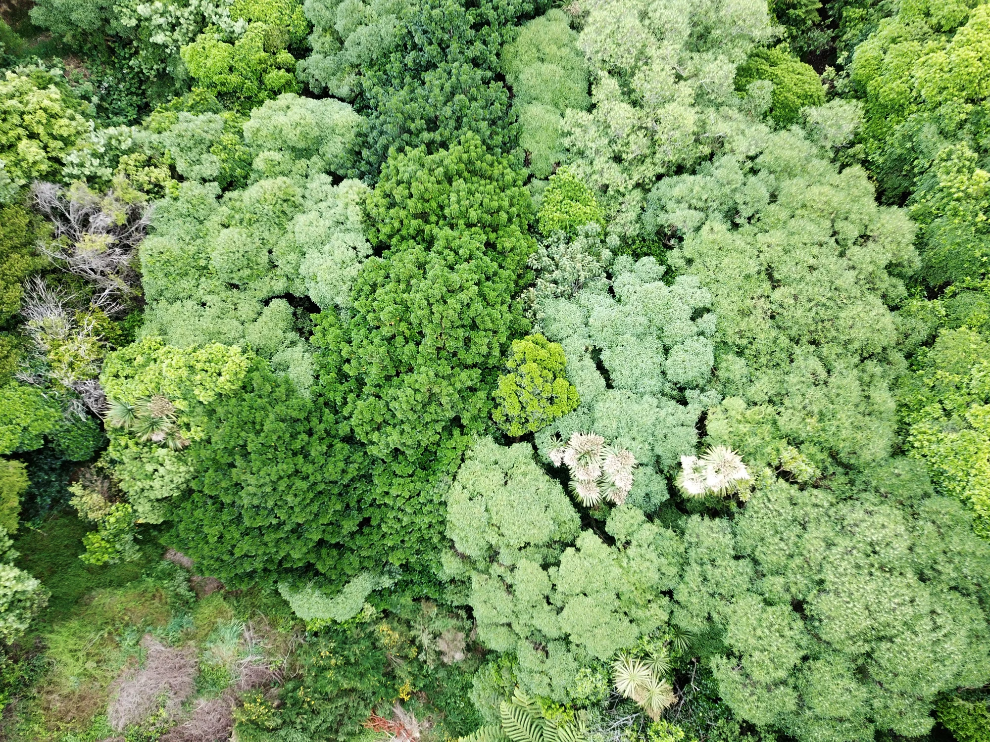 Aerial10_2018.jpg