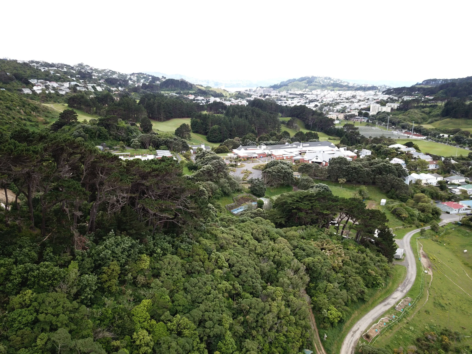 Aerial11_2018.jpg