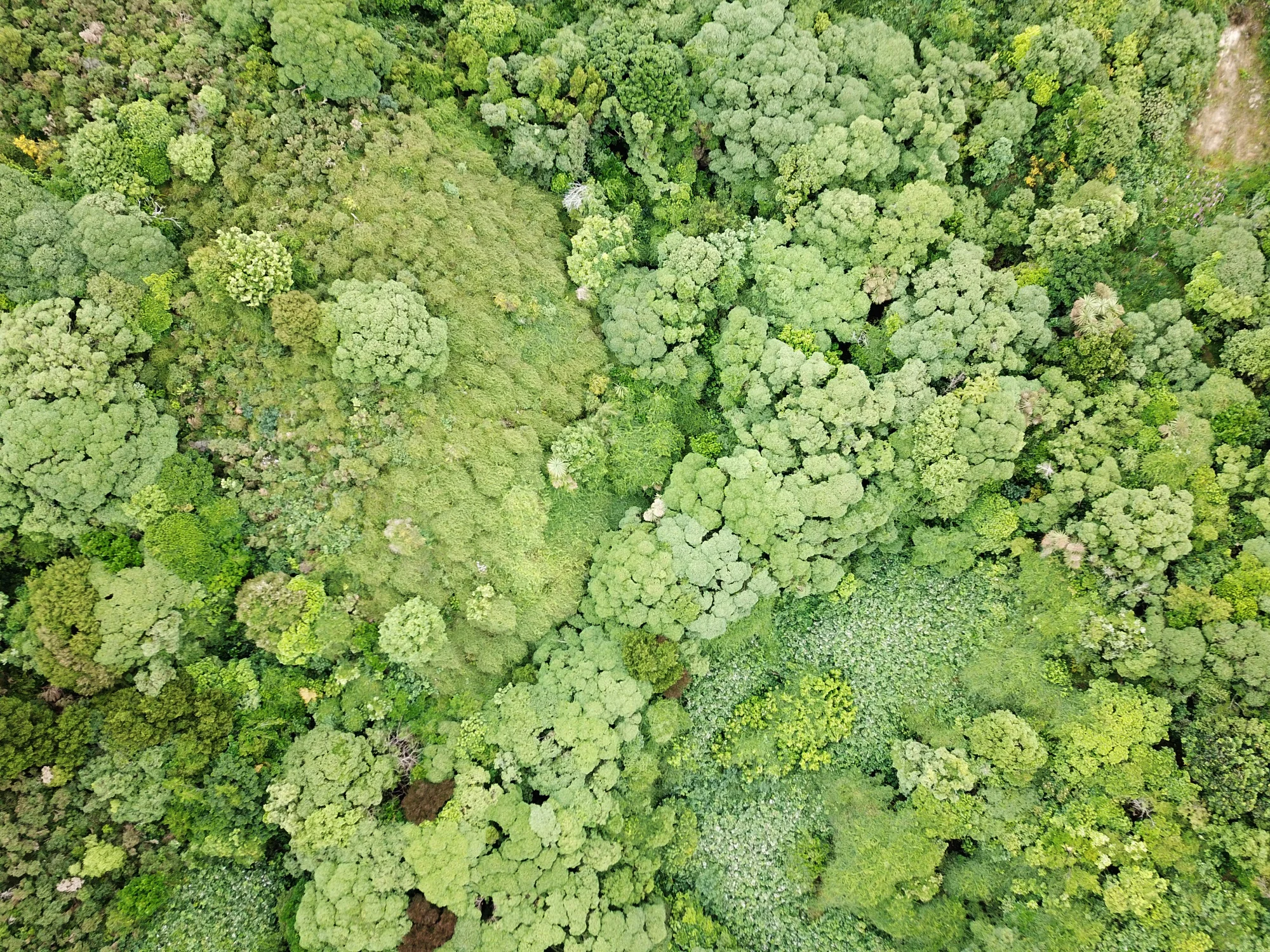 Aerial07_2018.jpg