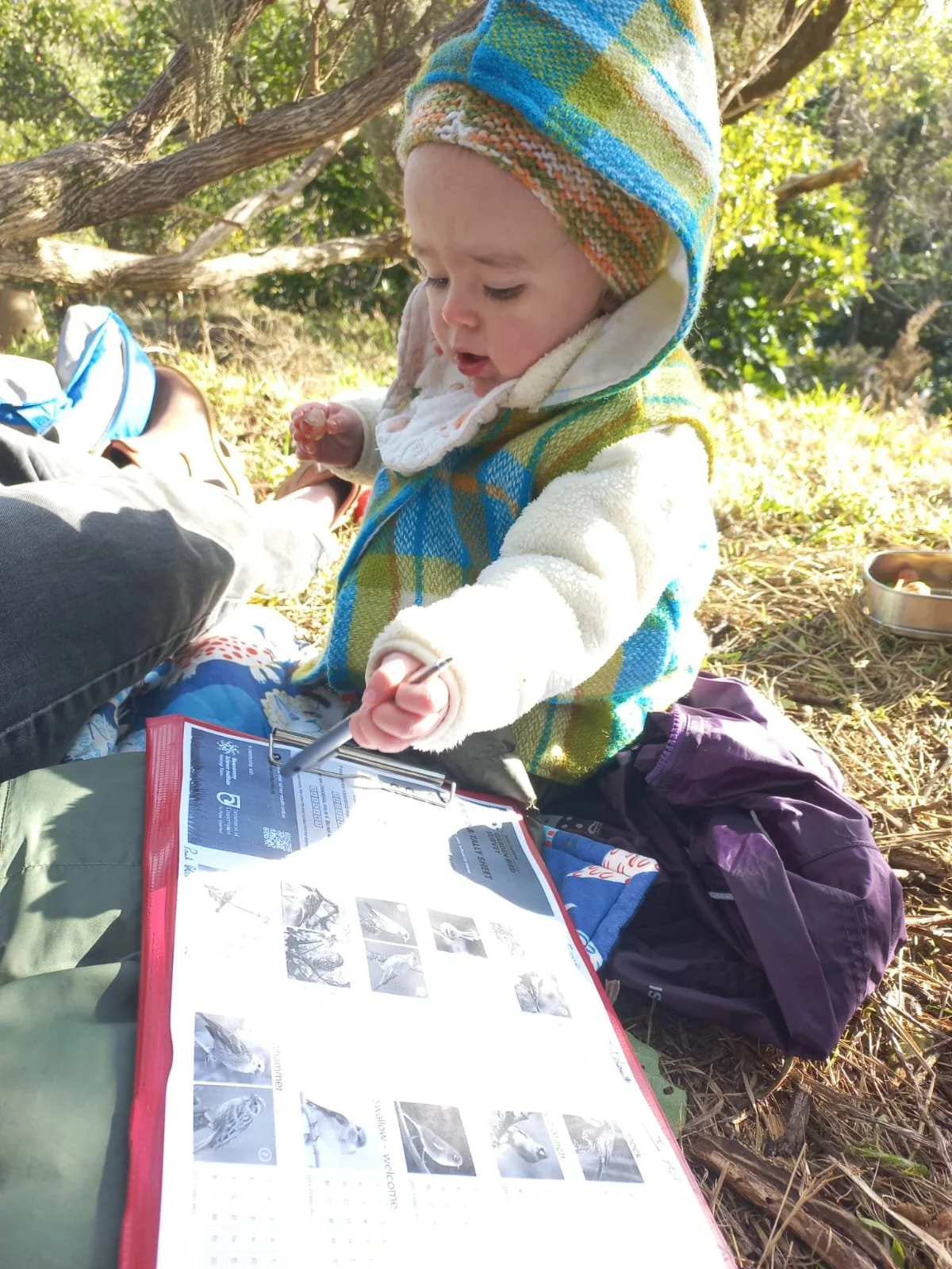 2026 Bird Count for the Aotearoa Garden Bird Survey.