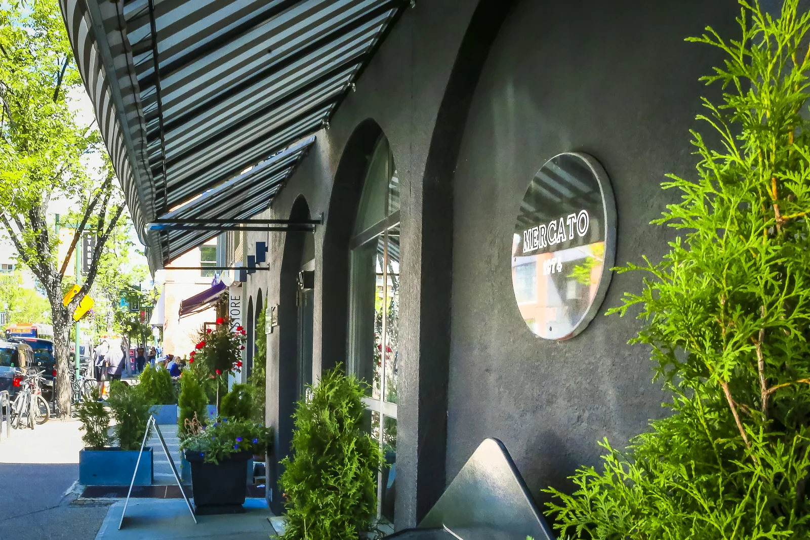 2017 Roxboro Web Content-10.JPG