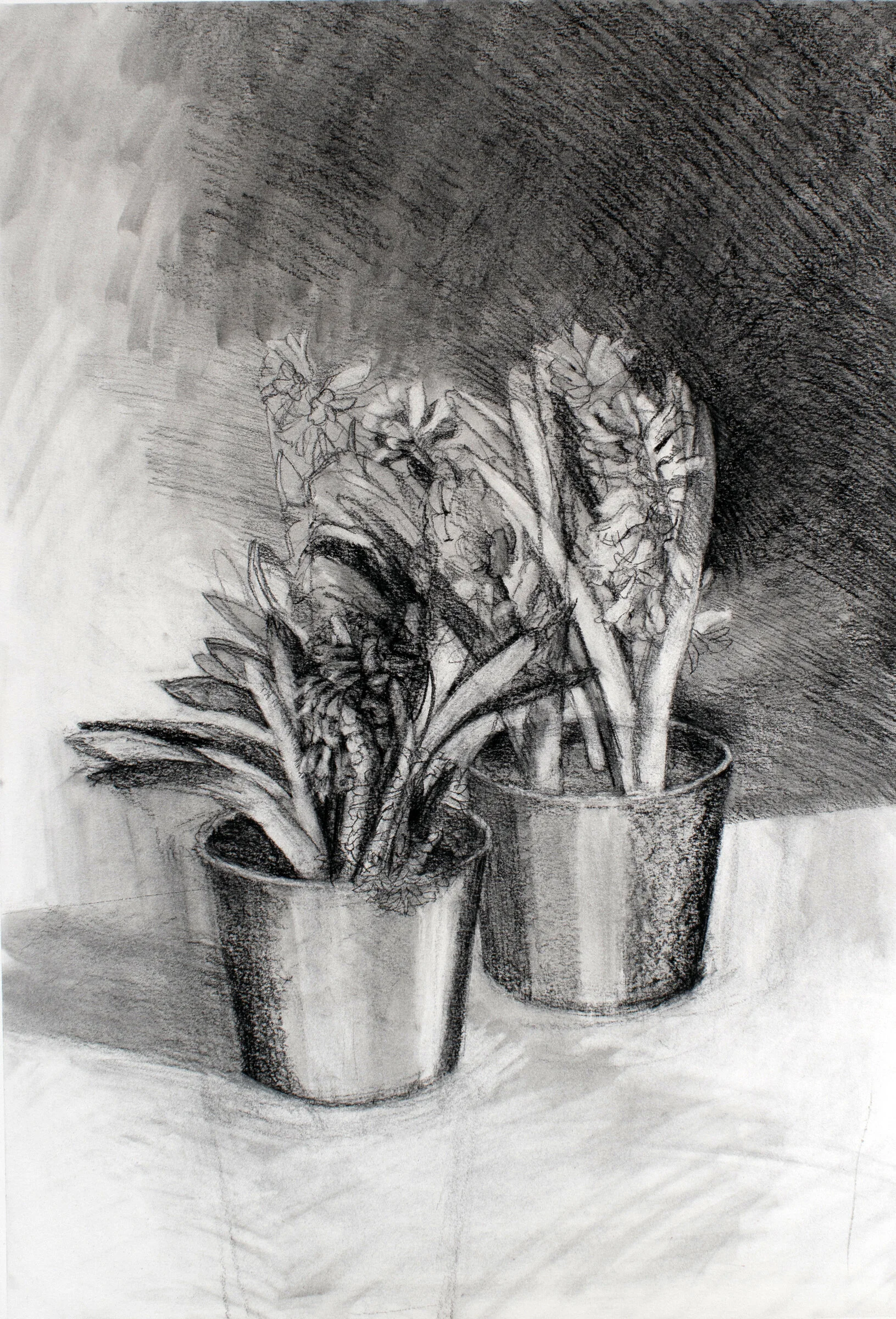 Hyacinth