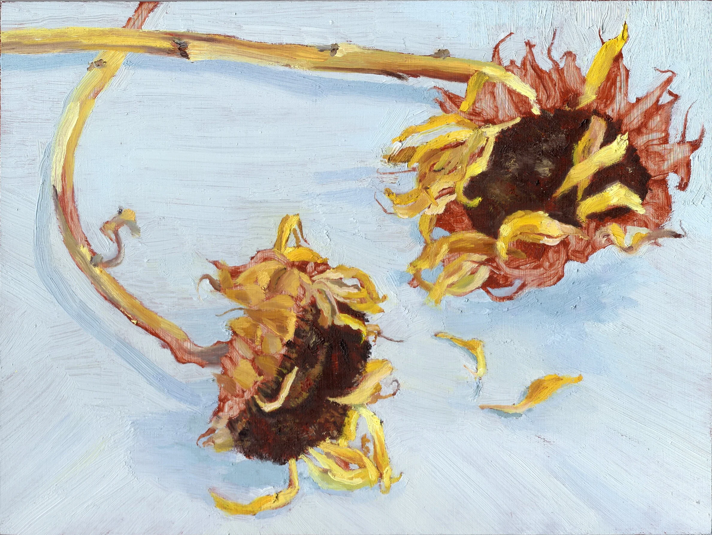 We Are Here Only Once