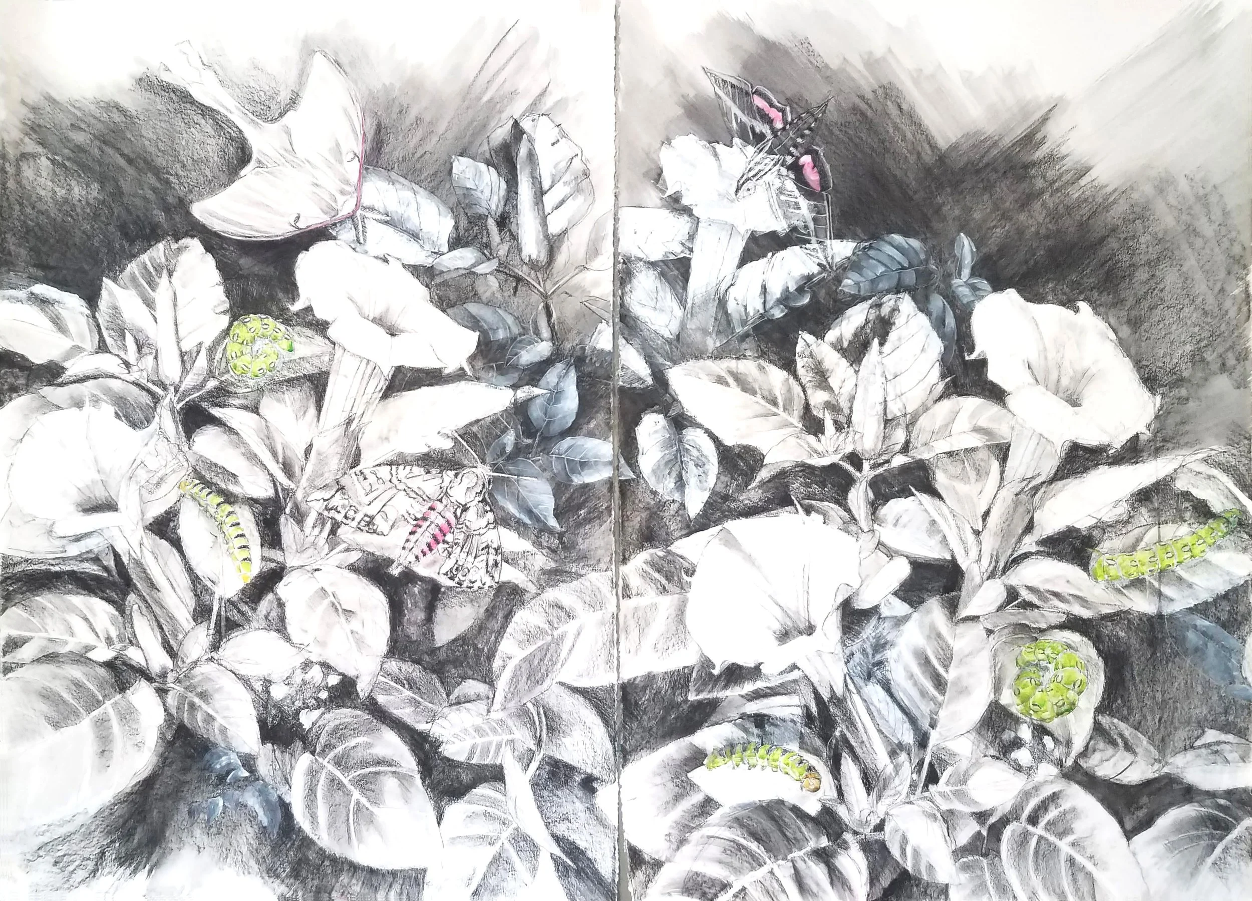 The Sphinx (diptych)