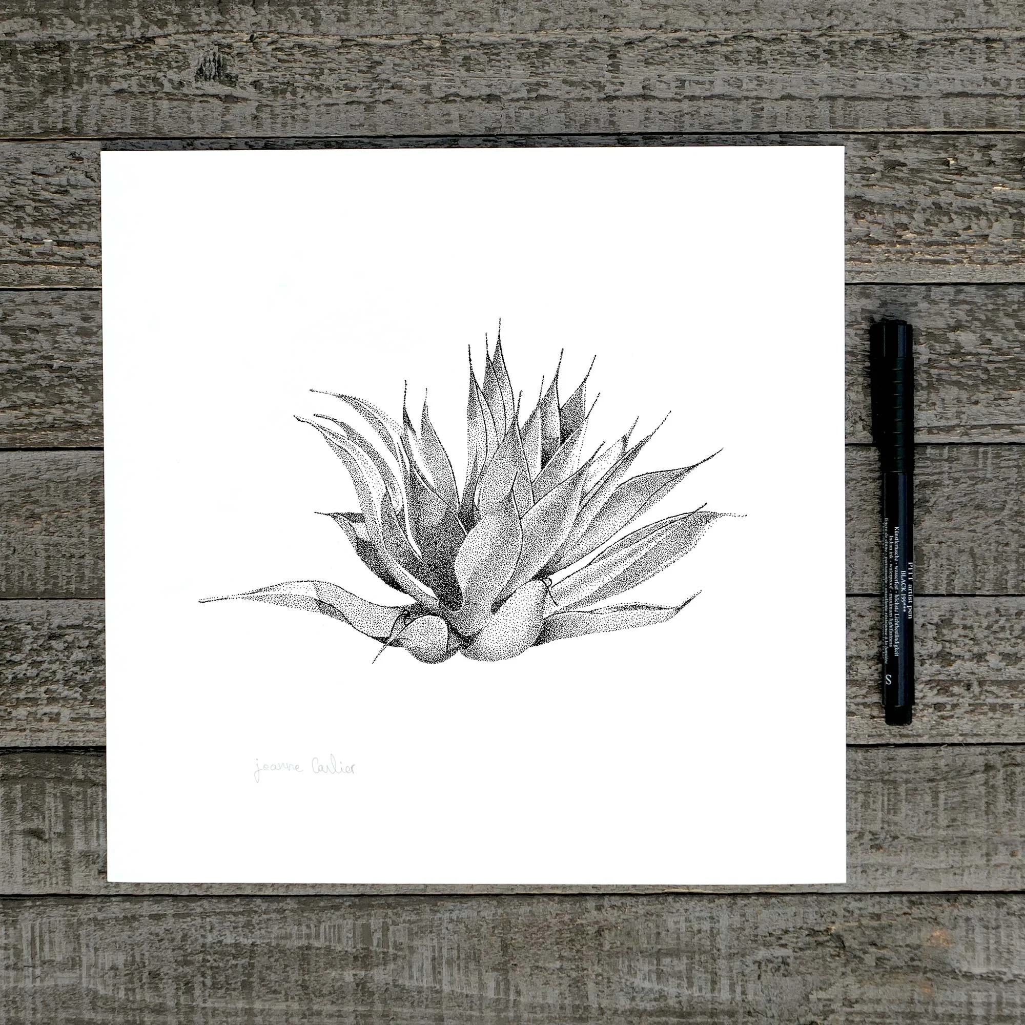 Art Print || Agave || Hand drawn stippled illustration