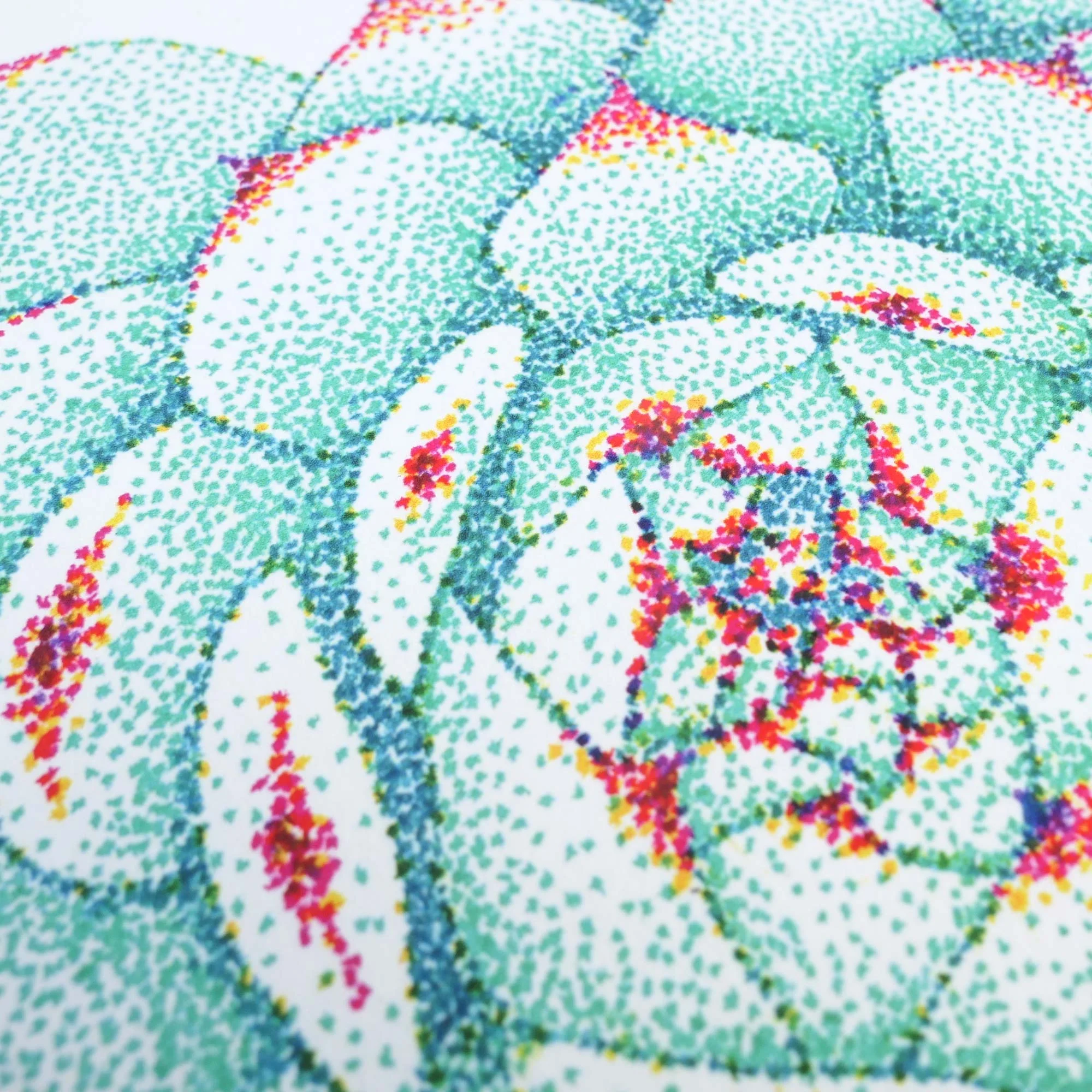 Art Print || Succulent #2 || Hand drawn stippled illustration