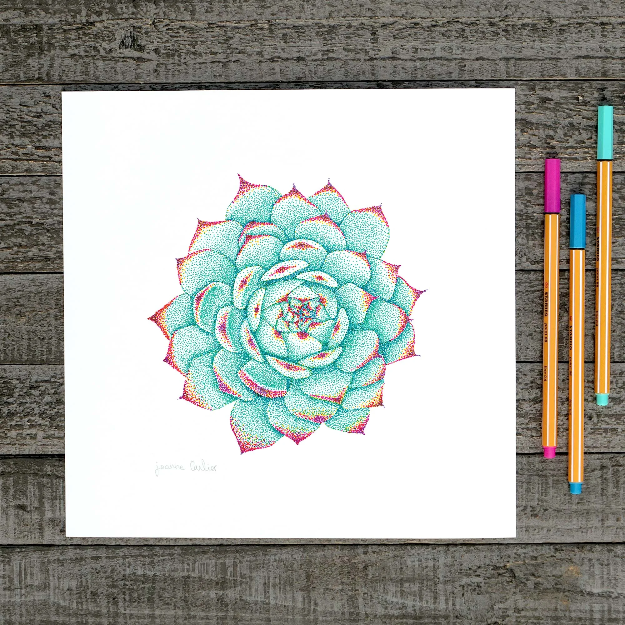 Art Print || Succulent #2 || Hand drawn stippled illustration cactus succulent