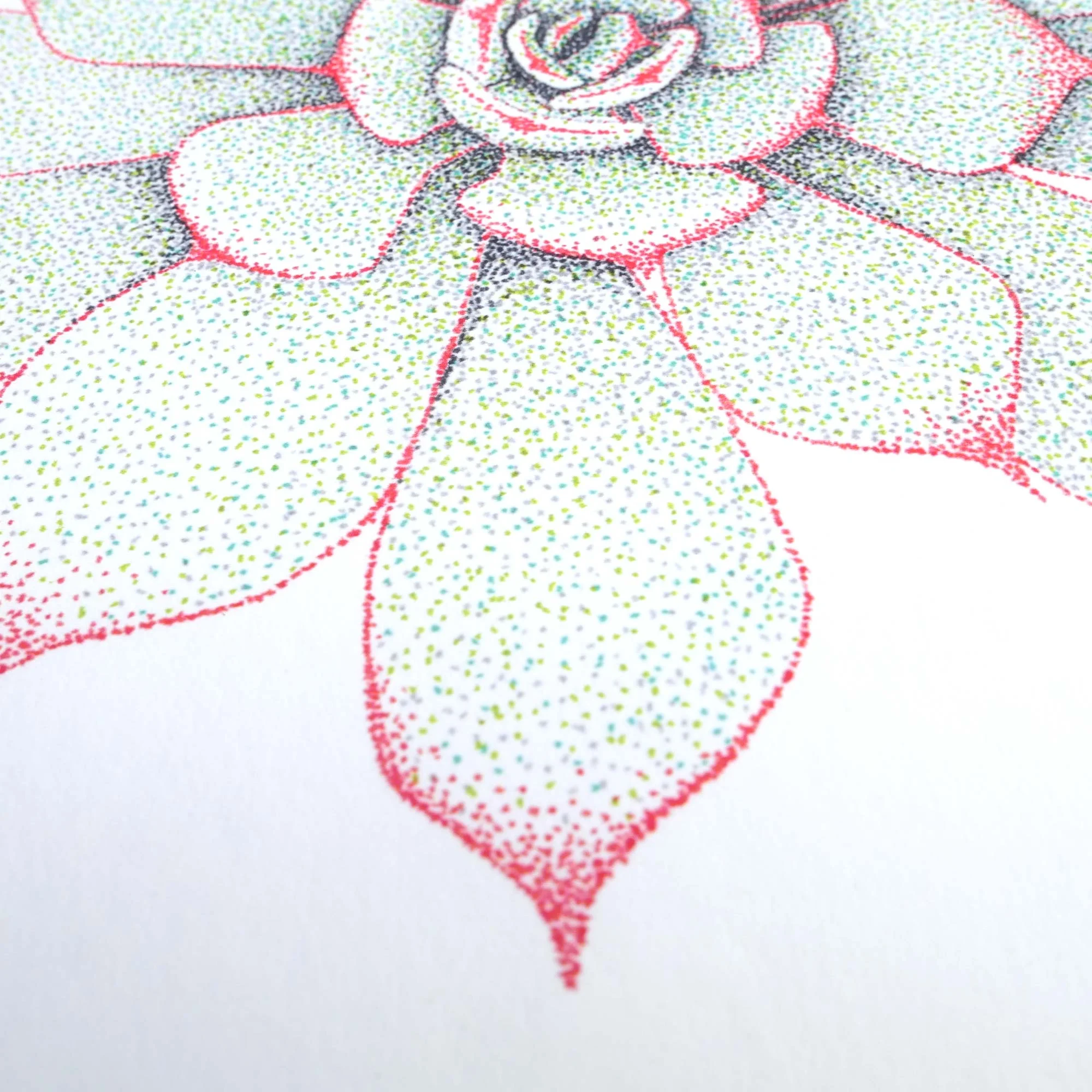 Art Print || Succulent #3 || Hand drawn stippled illustration