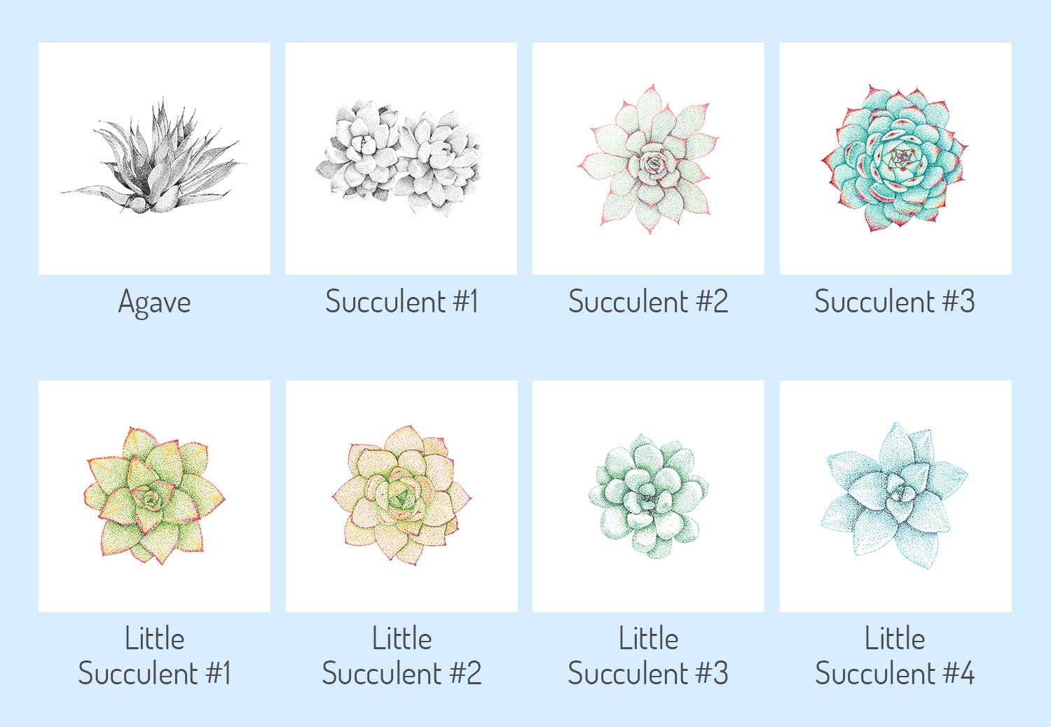 Card_Bundle-with-names_Succulents.jpg