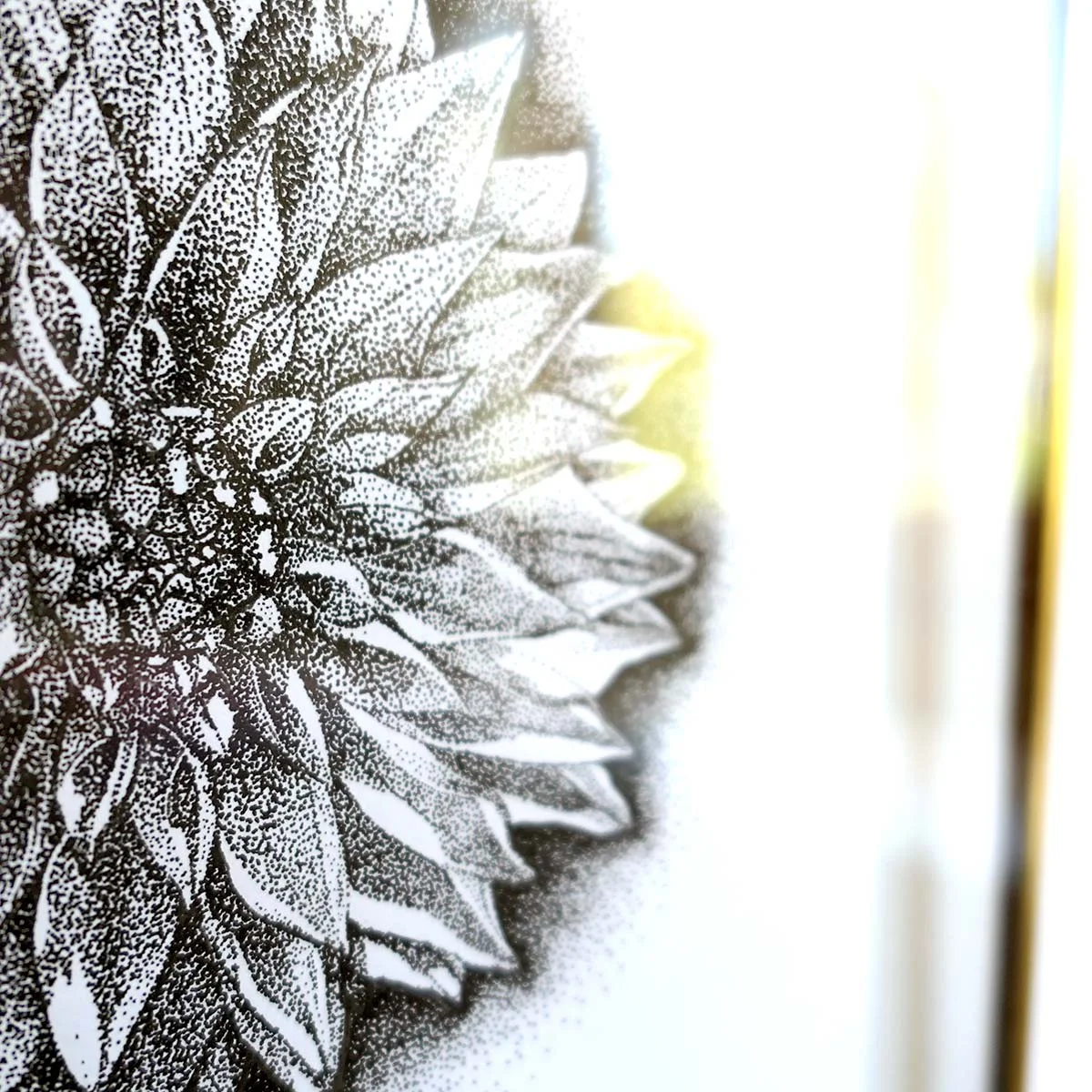 Original Art Print || Dahlia || Stippling Illustration Flower Black & White