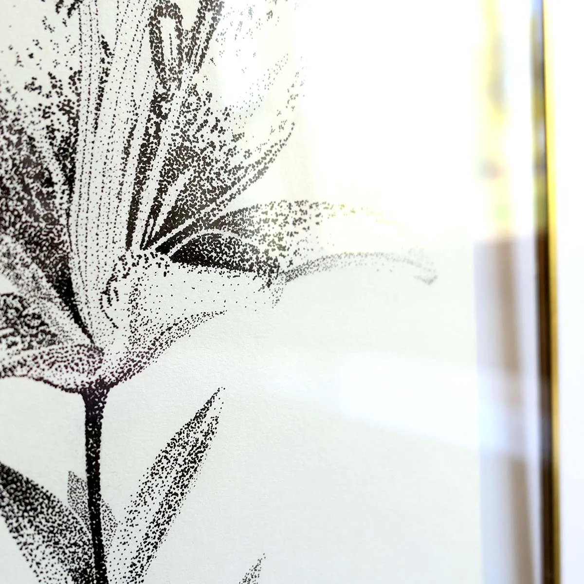Original Art Print || Lily || Stippling Illustration Flower Black & White