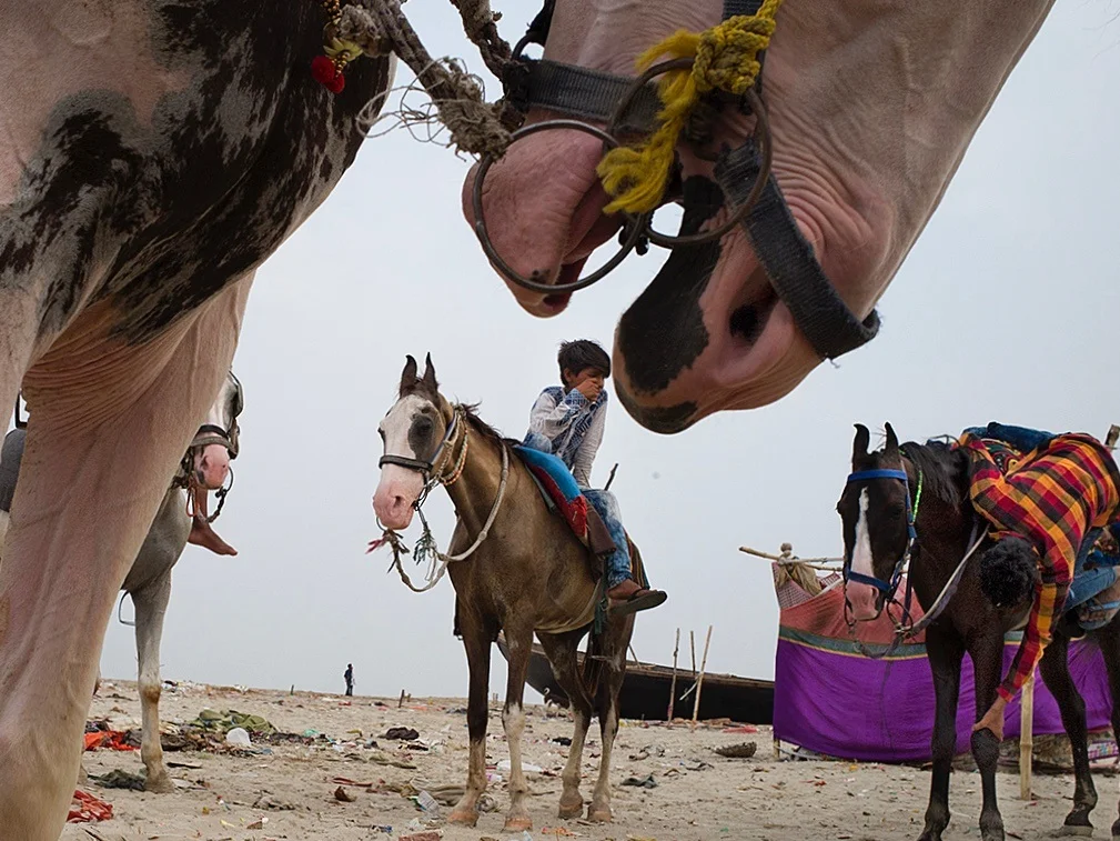 Photo by Vineet Vohra