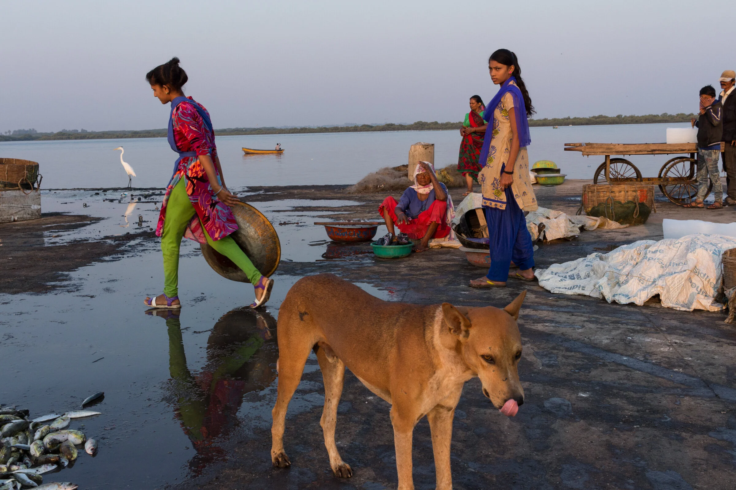 Fisherman's Wives