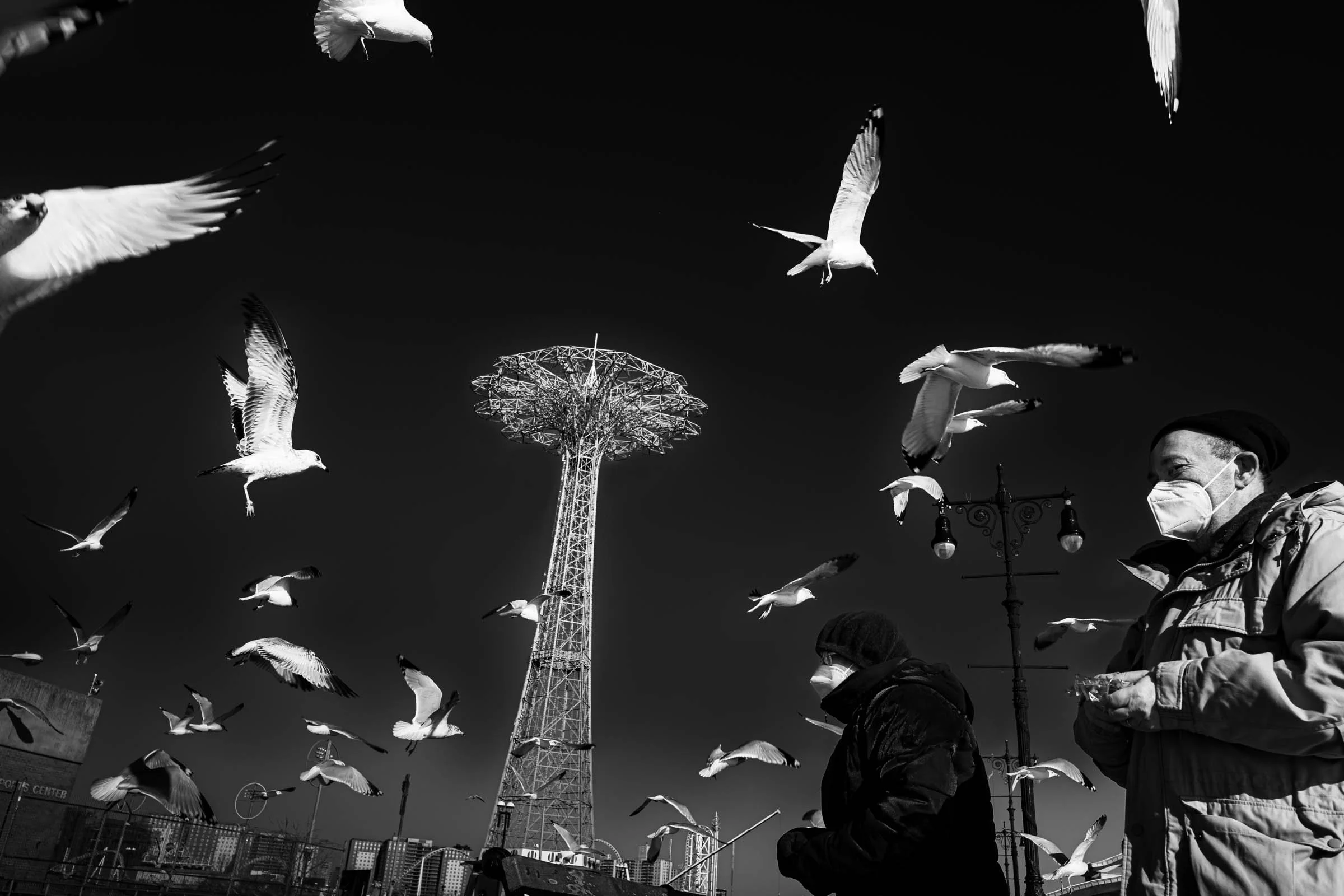 For the Birds
