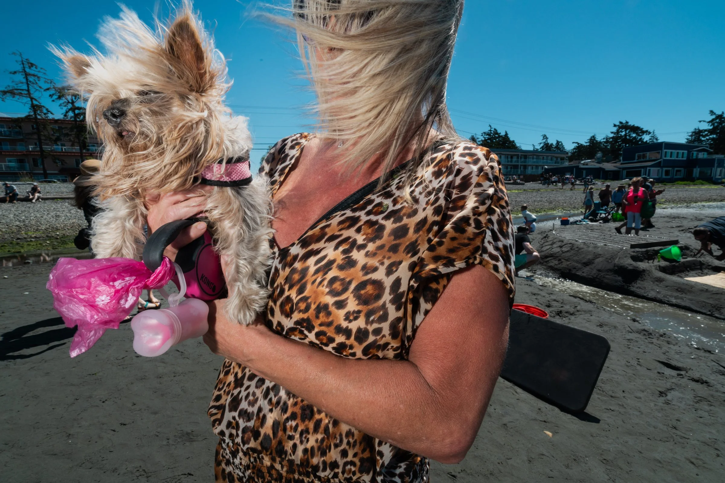 Windy Day, Birch Bay WA, August 2024