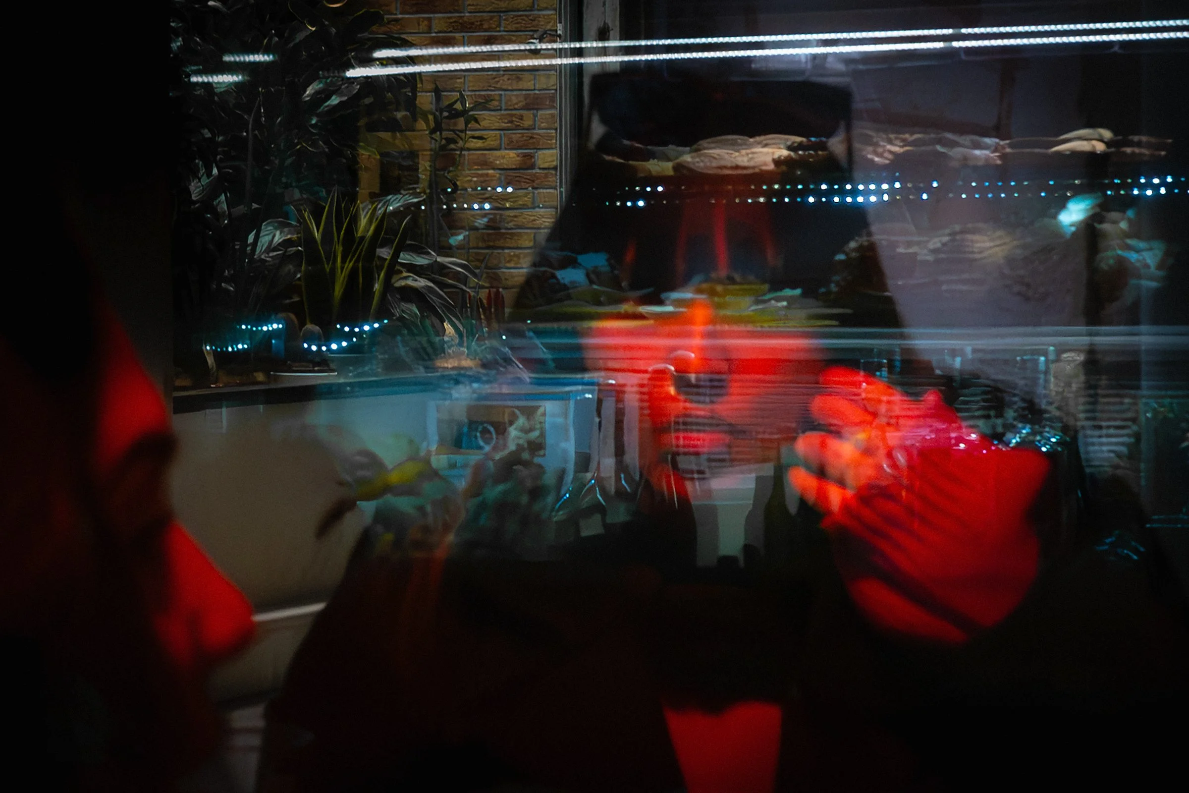 The Other Side of the Window