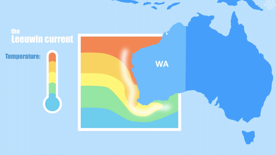 Screenshot 2024-11-27 at 7.26.52 pm.png