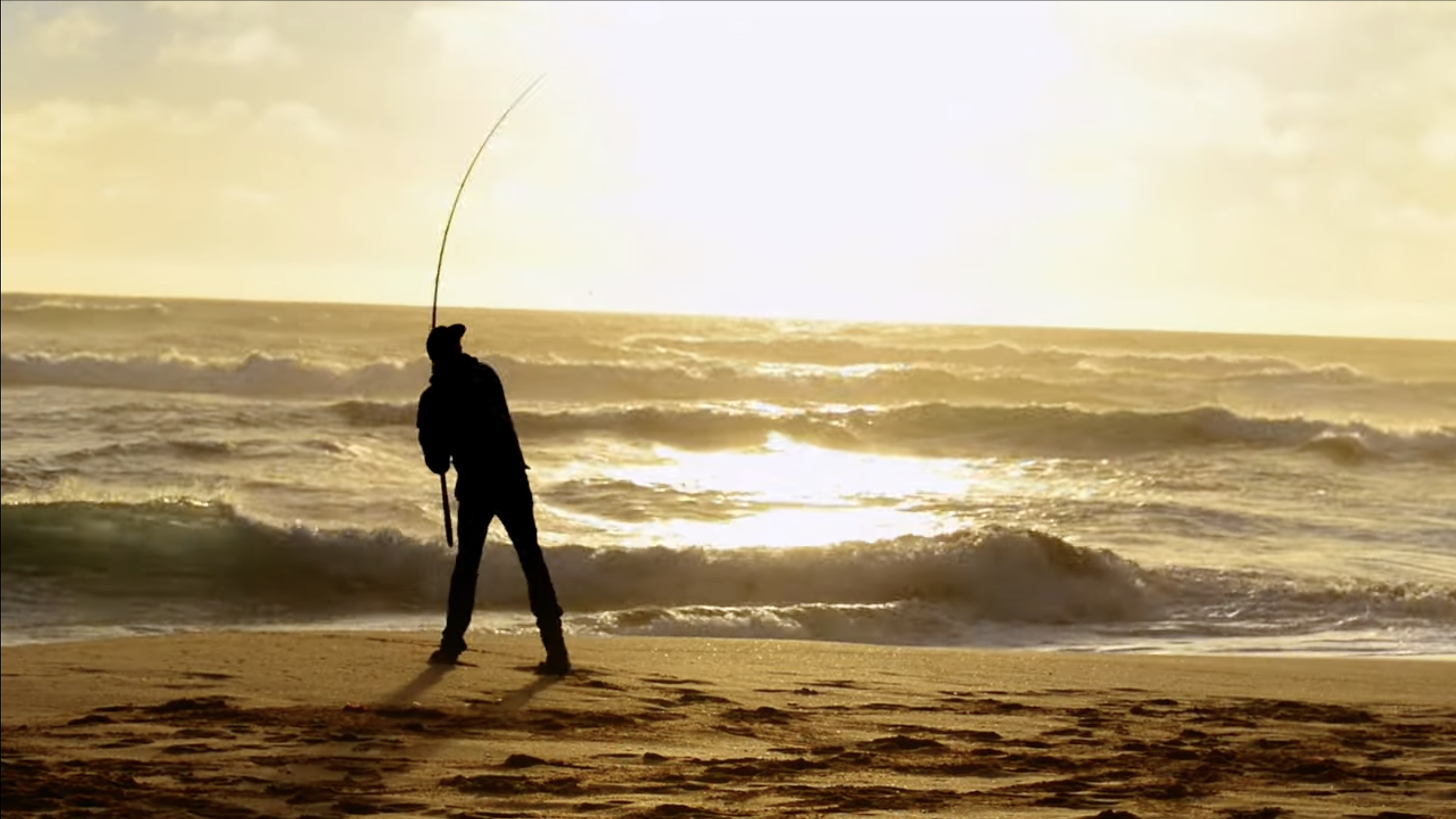 Screenshot 2024-08-28 at 1.04.54 pm.png