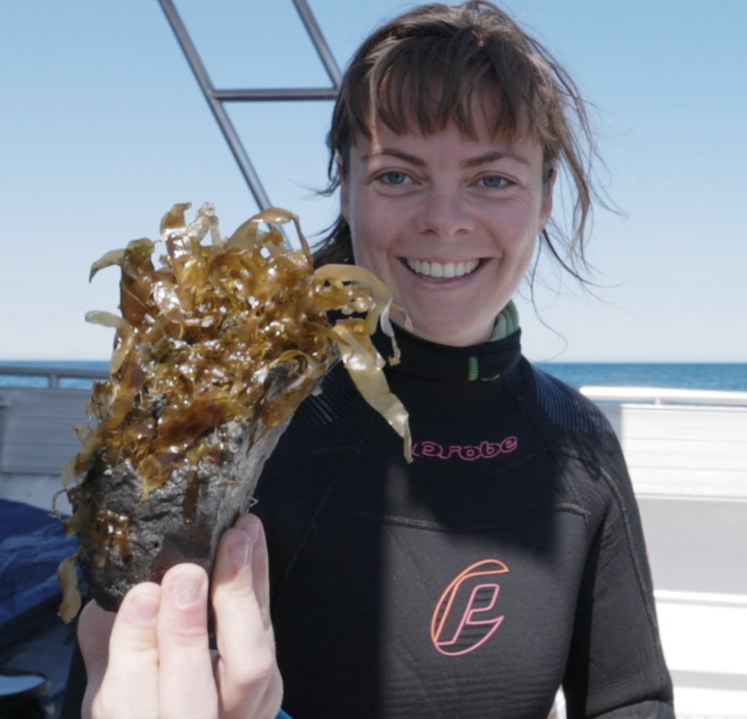 News Great Southern Reef news-great-southern-reef