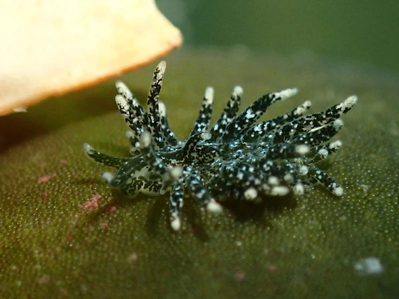 WhatsApp Image 2025-12-09 at 12.00.18_4765d9c7.jpg