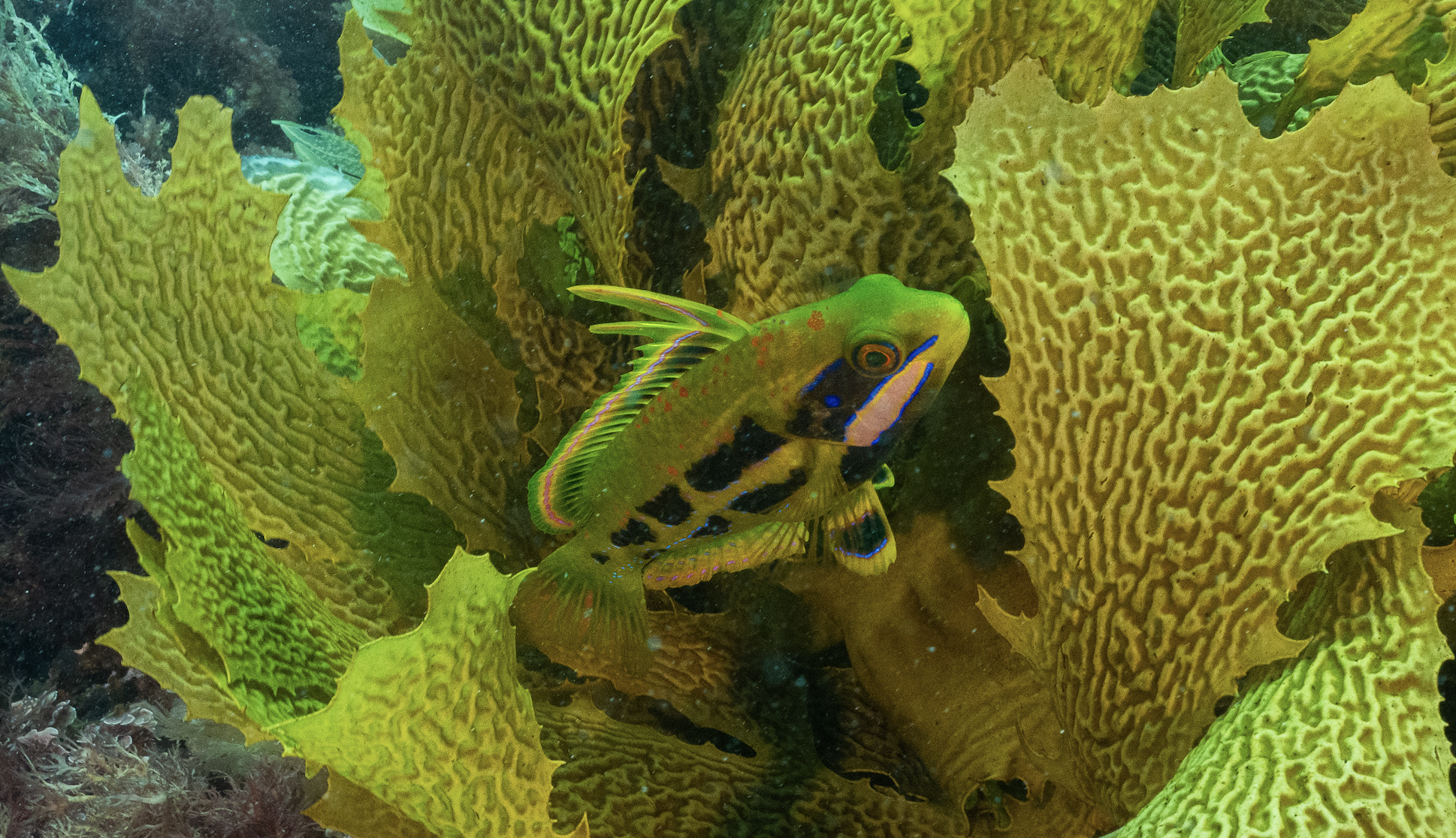 Screenshot 2025-12-04 at 11.42.12 am.png