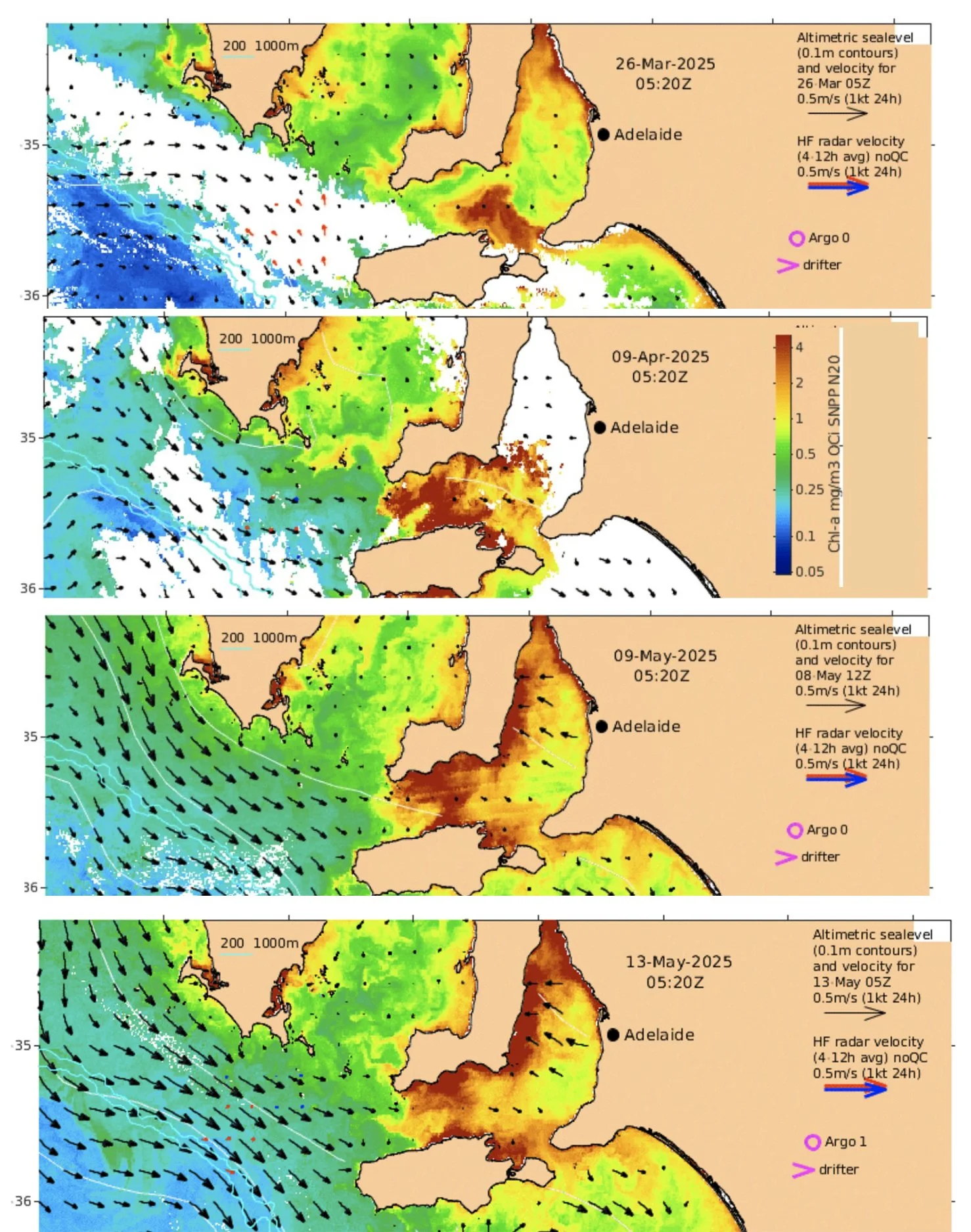 South Australia's 2025 Algal Bloom: What We Know, What We're Learning ...