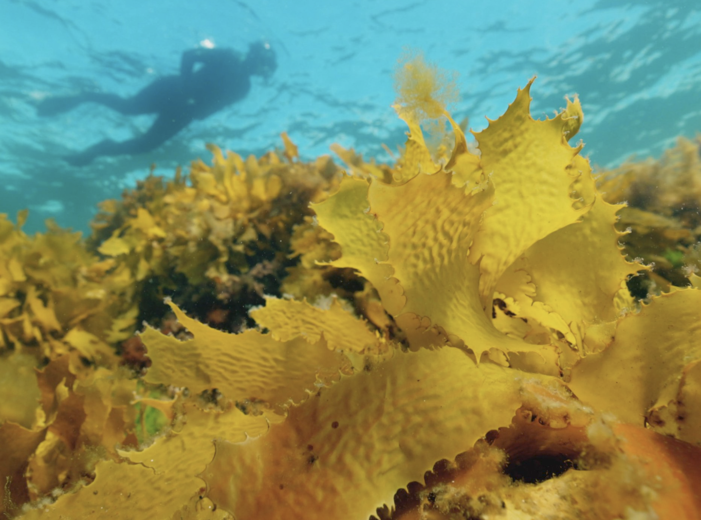 Screenshot 2025-03-06 at 2.27.15 pm.png