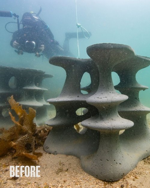 Before: a close crop of the mostly bare reef structure on the right.