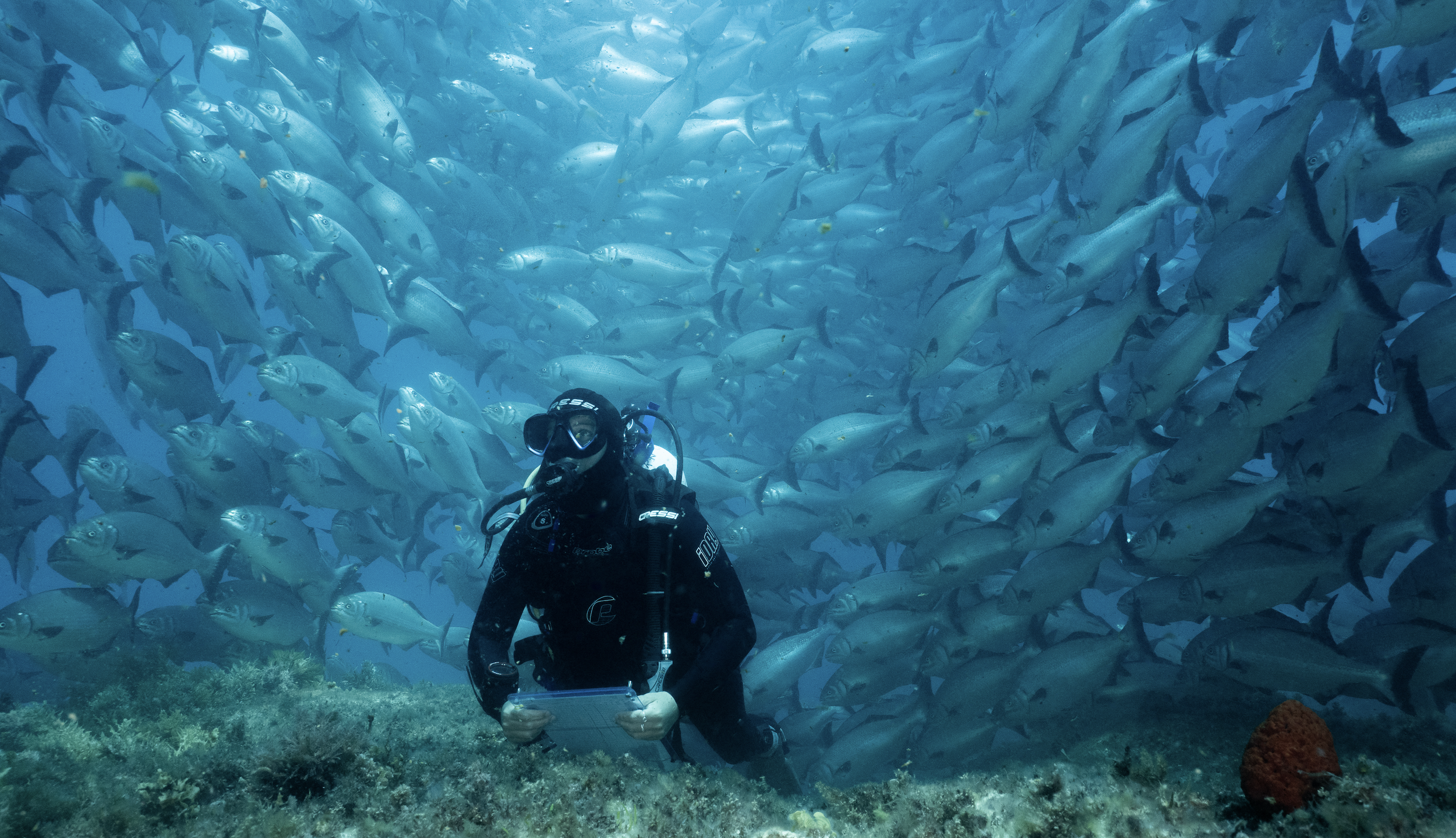 Screenshot 2025-12-04 at 12.02.38 pm.png