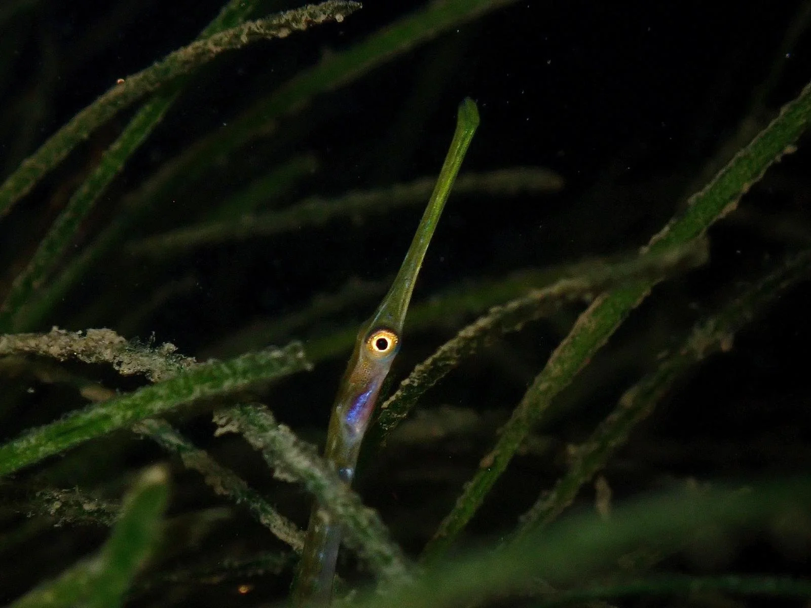 WhatsApp Image 2025-12-09 at 11.52.50_c791a382.jpg