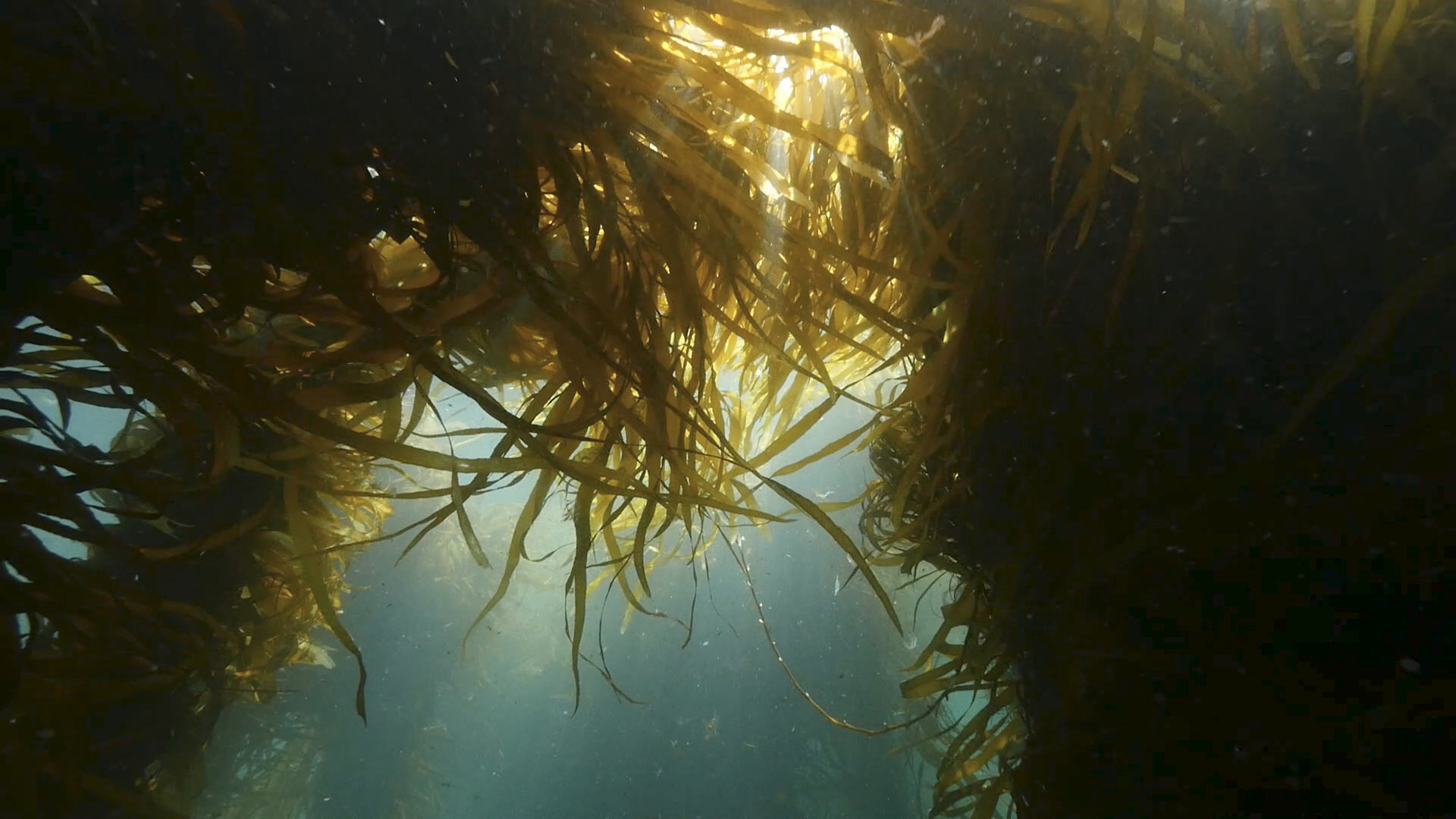 Screenshot 2024-12-05 at 10.41.25 am.png