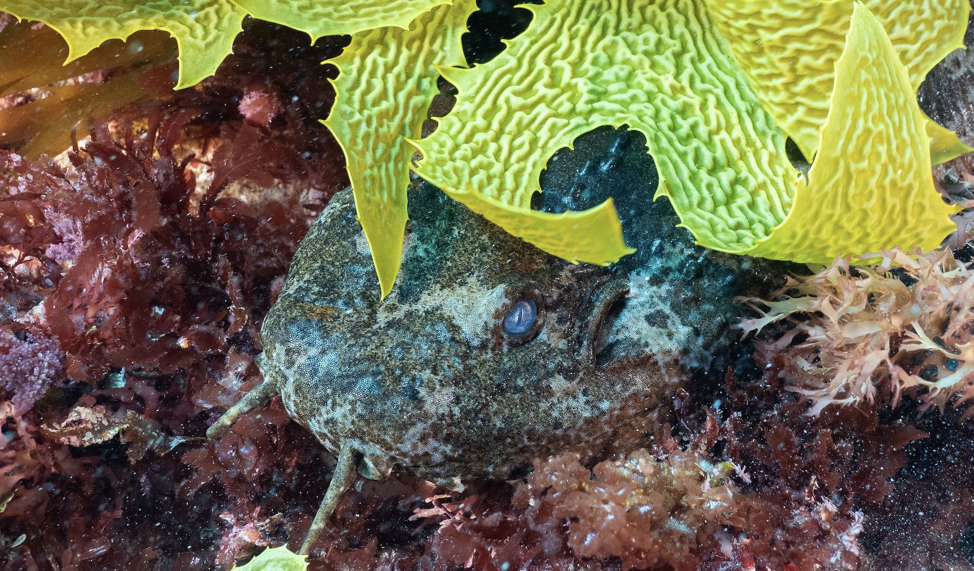 Screenshot 2025-12-04 at 11.41.50 am.png