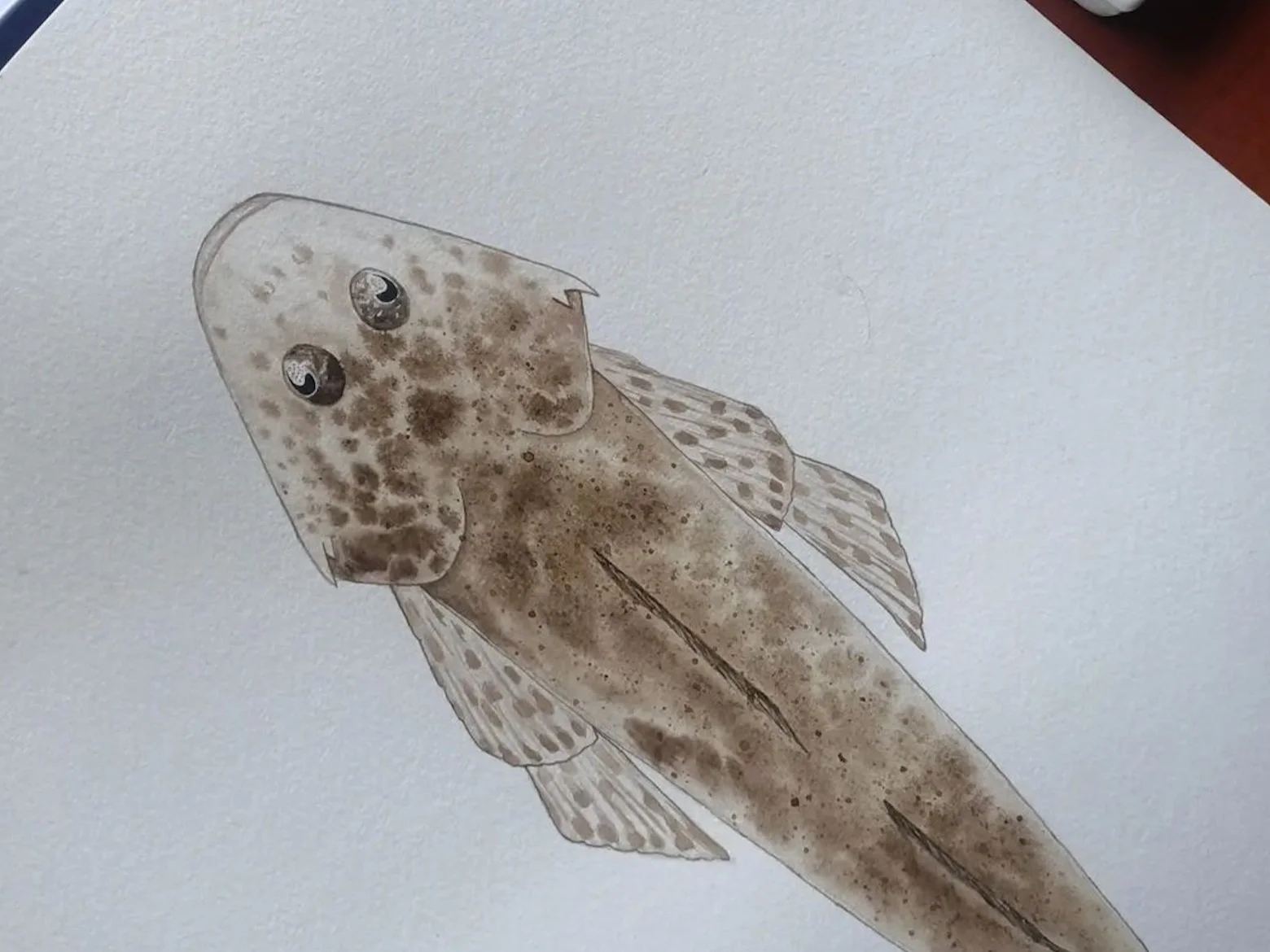 Screen Shot 2022-12-28 at 1.19.38 pm.jpg