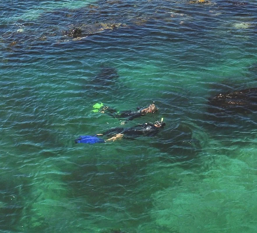 Screenshot 2024-08-28 at 1.18.17 pm.jpg