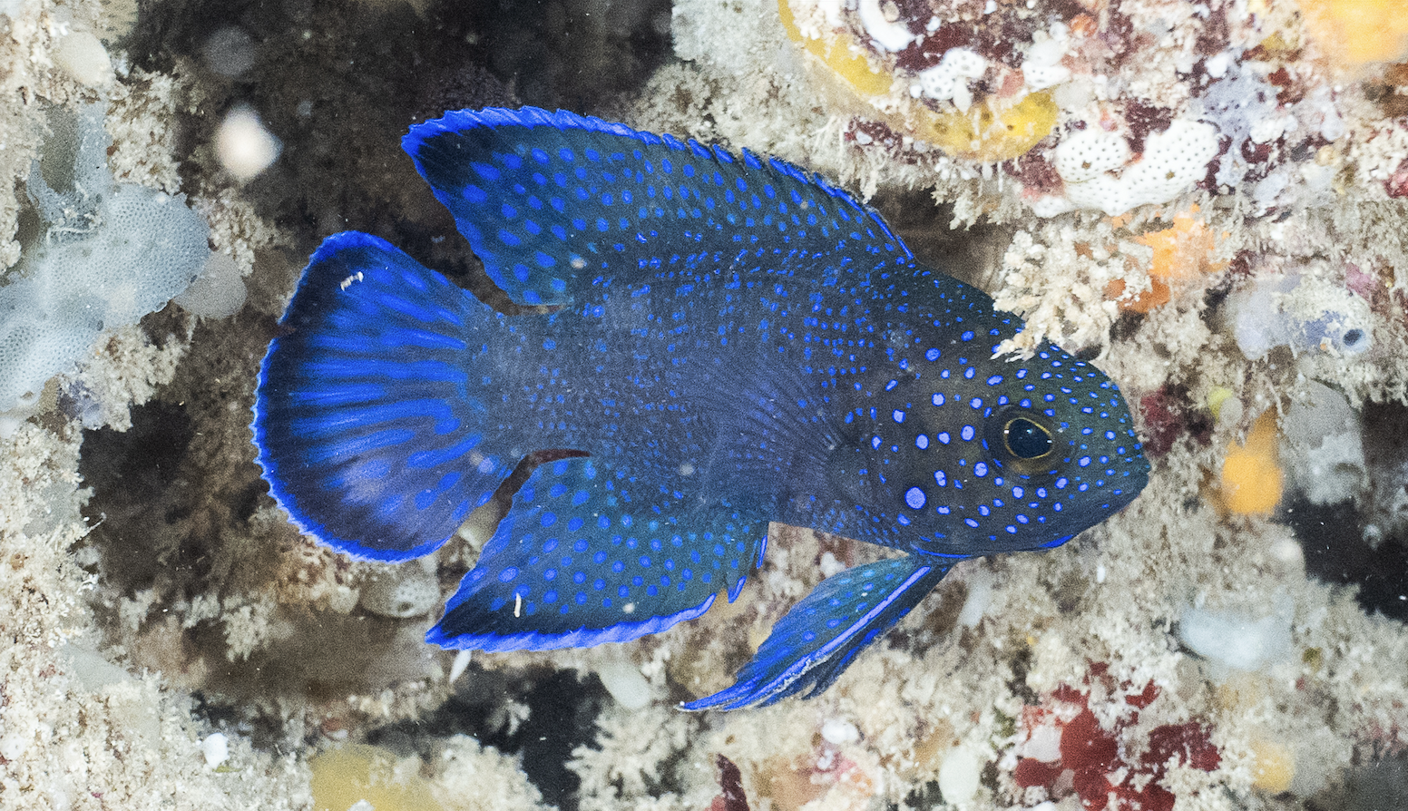 Screenshot 2025-12-04 at 11.41.16 am.png