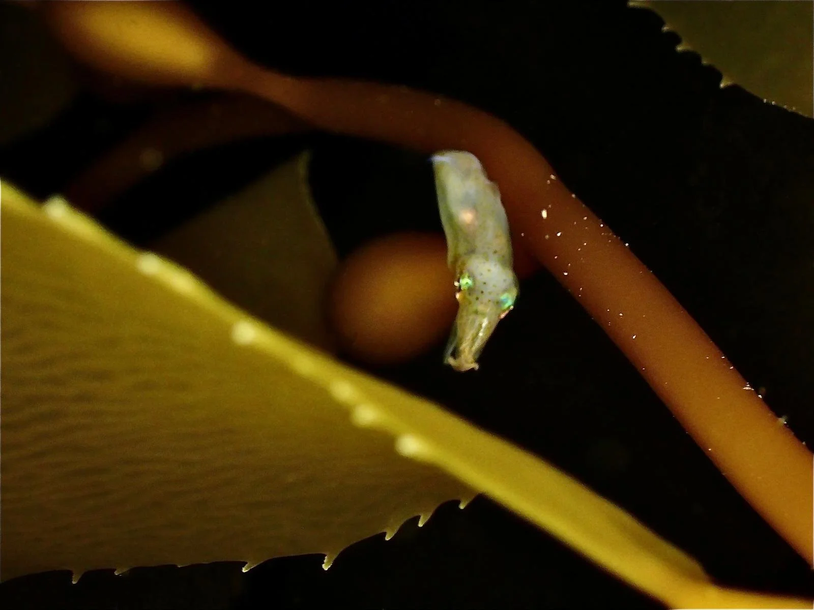 WhatsApp Image 2025-12-09 at 12.32.16_7b143429.jpg